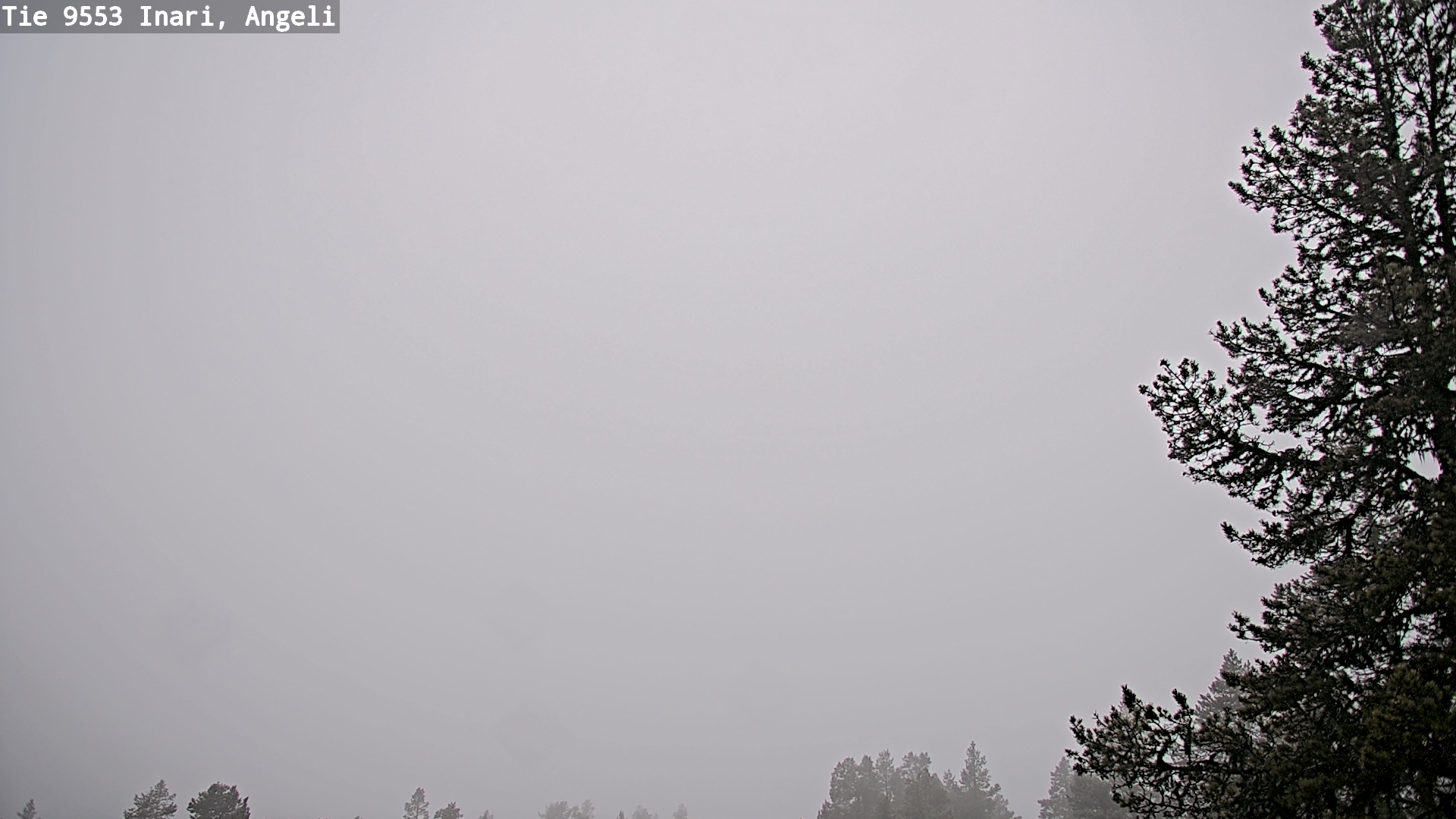 Kelikamerat Kuva Tie 9553 Inari, Angeli, Lintupuolivaara, Inari, Lappi