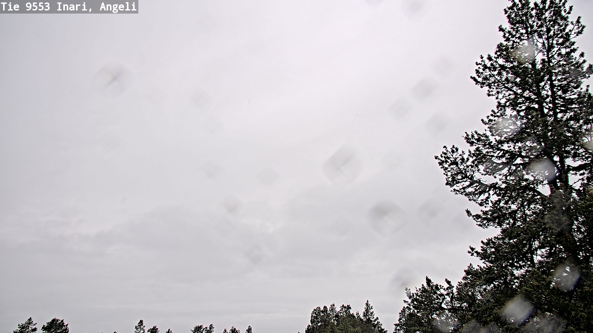 Weather Camera Image Väg 9553 Inari, Angeli, Lintupuolivaara, Inari, Lappi