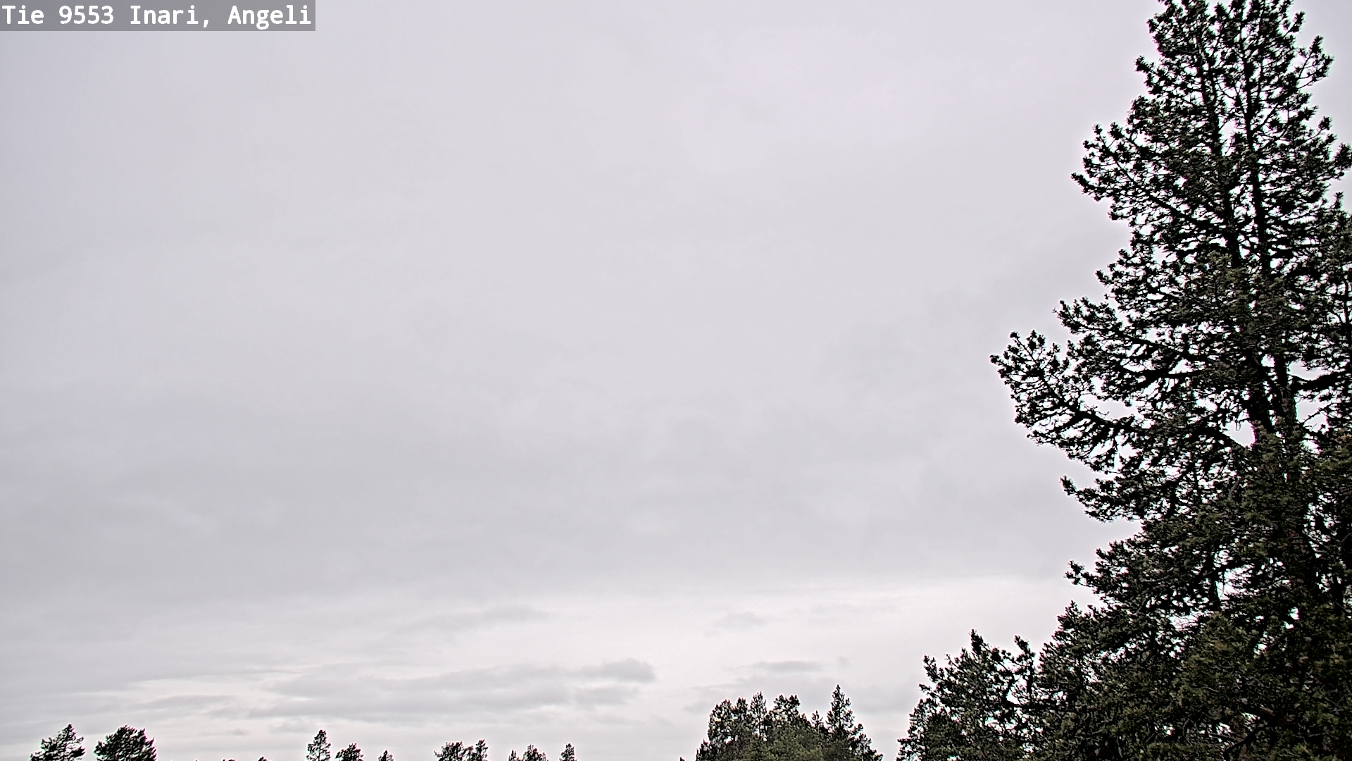 Weather Camera Image Väg 9553 Inari, Angeli, Lintupuolivaara, Inari, Lappi