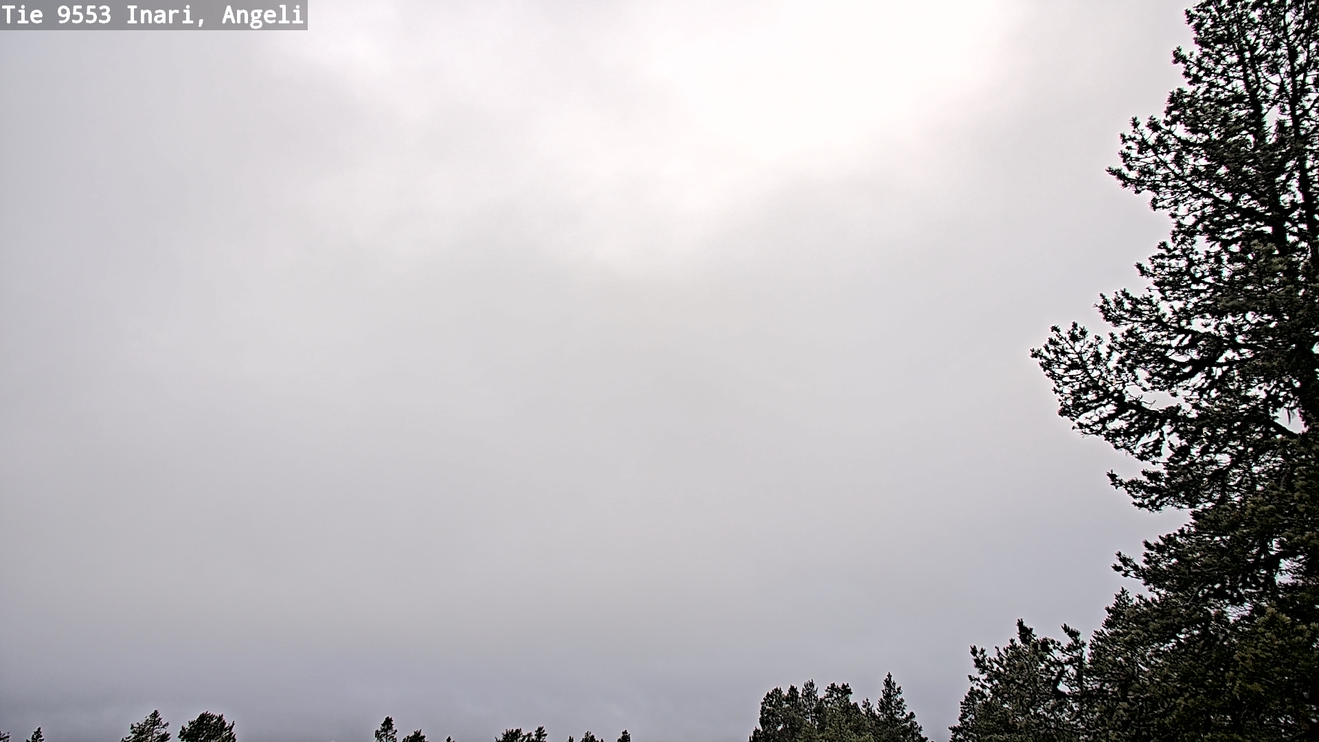 Weather Camera Image Road 9553 Inari, Angeli, Lintupuolivaara, Inari, Lappi