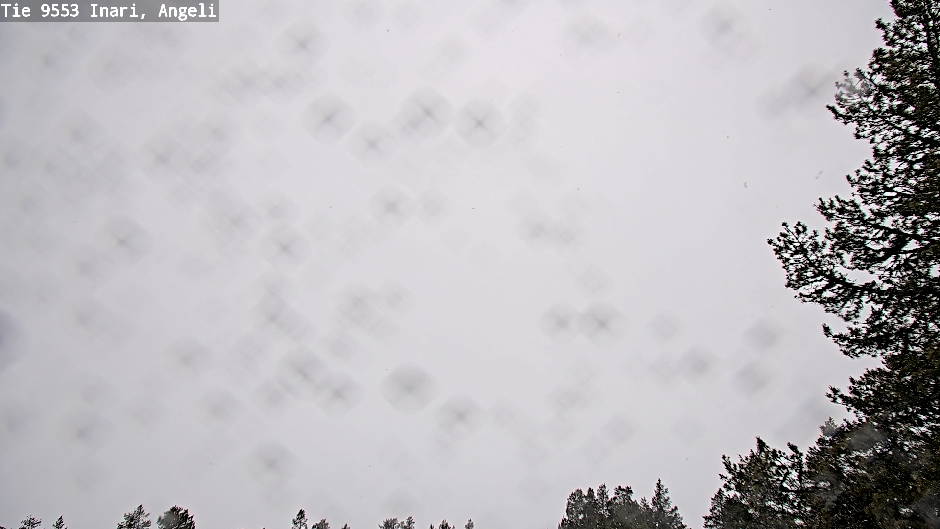 Kelikamerat Kuva Tie 9553 Inari, Angeli, Lintupuolivaara, Inari, Lappi