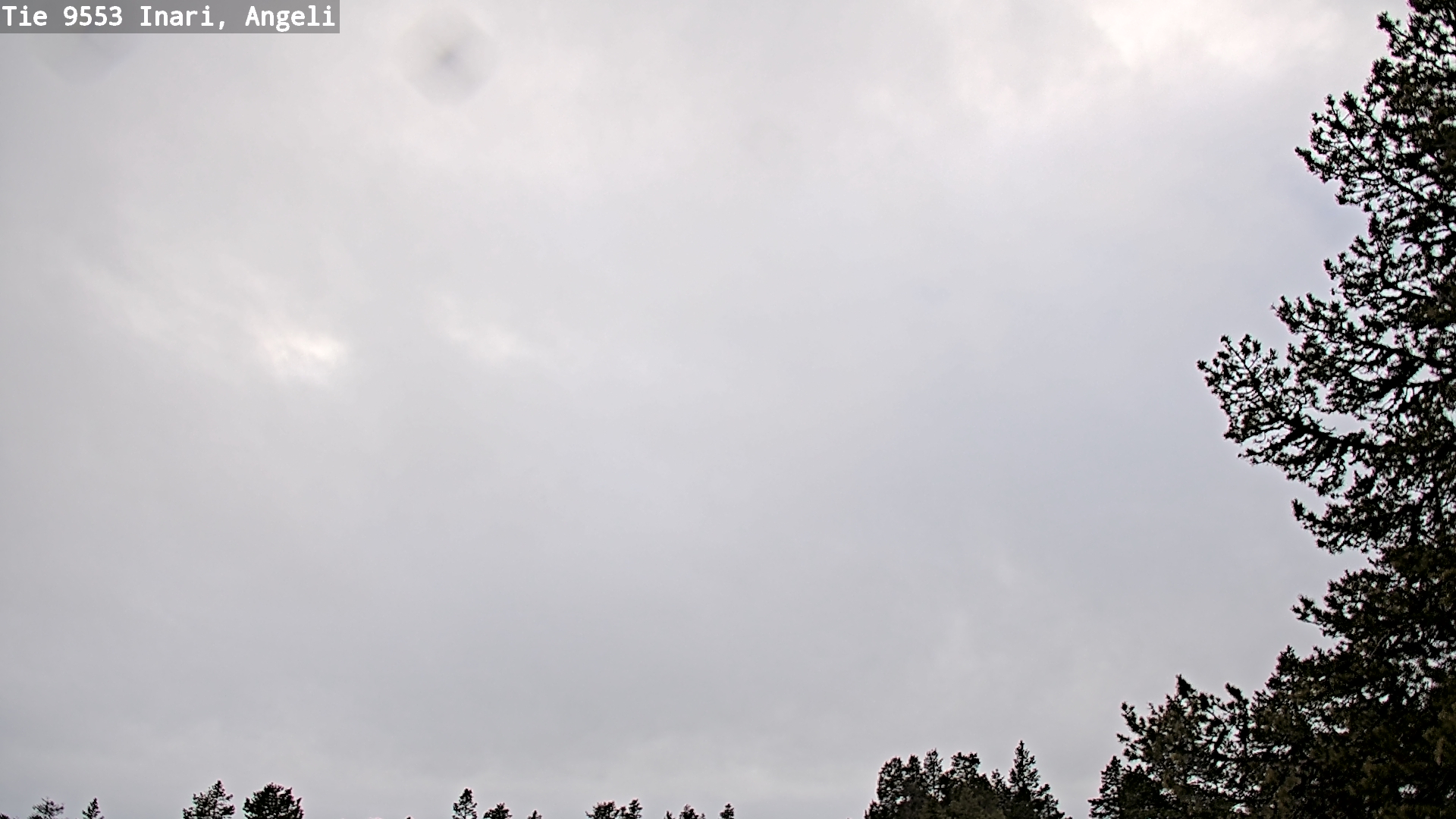 Weather Camera Image Road 9553 Inari, Angeli, Lintupuolivaara, Inari, Lappi