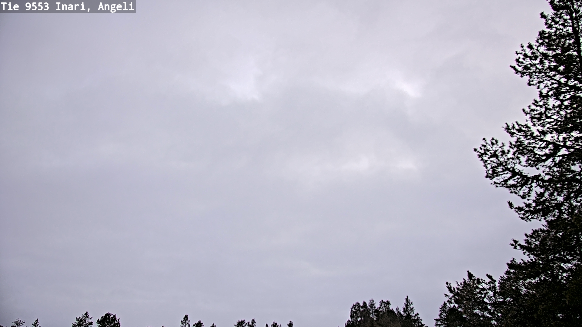 Kelikamerat Kuva Tie 9553 Inari, Angeli, Lintupuolivaara, Inari, Lappi