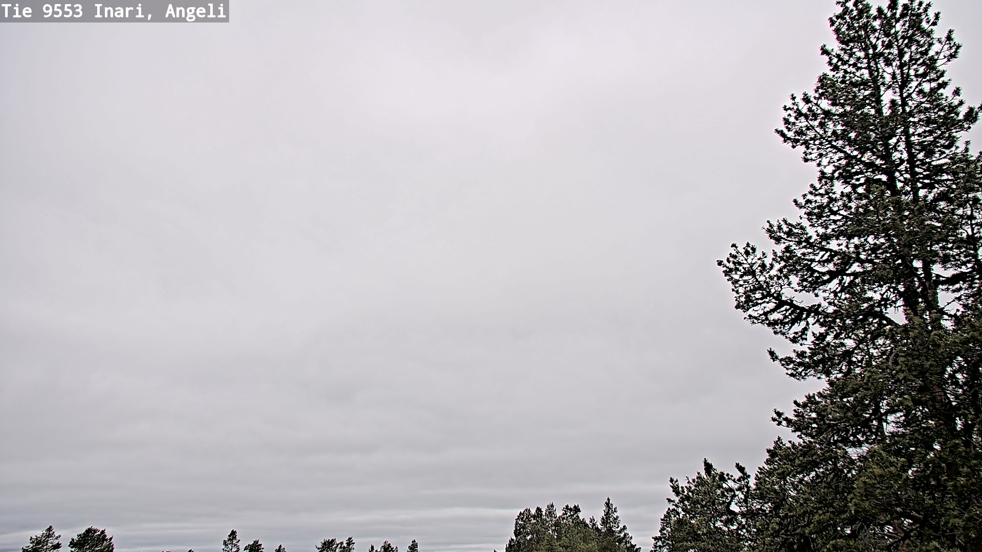 Weather Camera Image Väg 9553 Inari, Angeli, Lintupuolivaara, Inari, Lappi