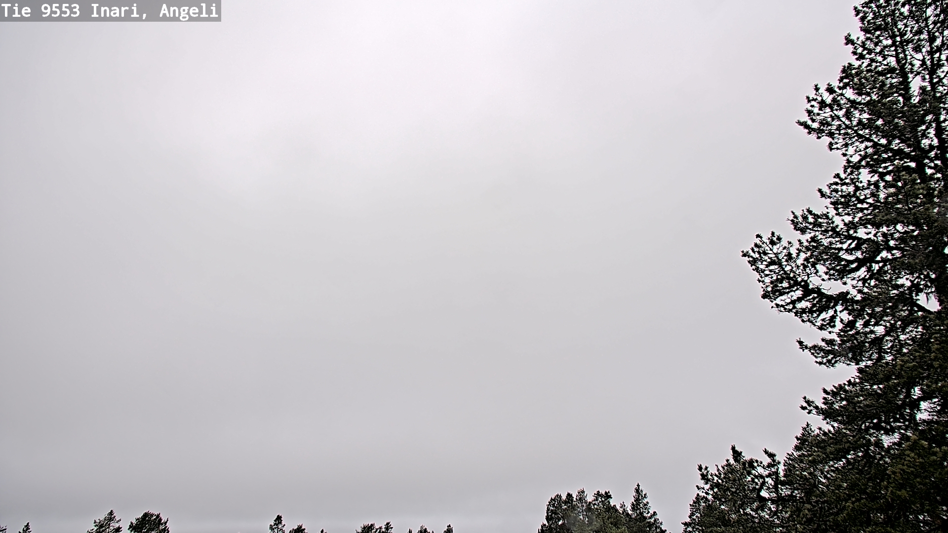 Weather Camera Image Road 9553 Inari, Angeli, Lintupuolivaara, Inari, Lappi