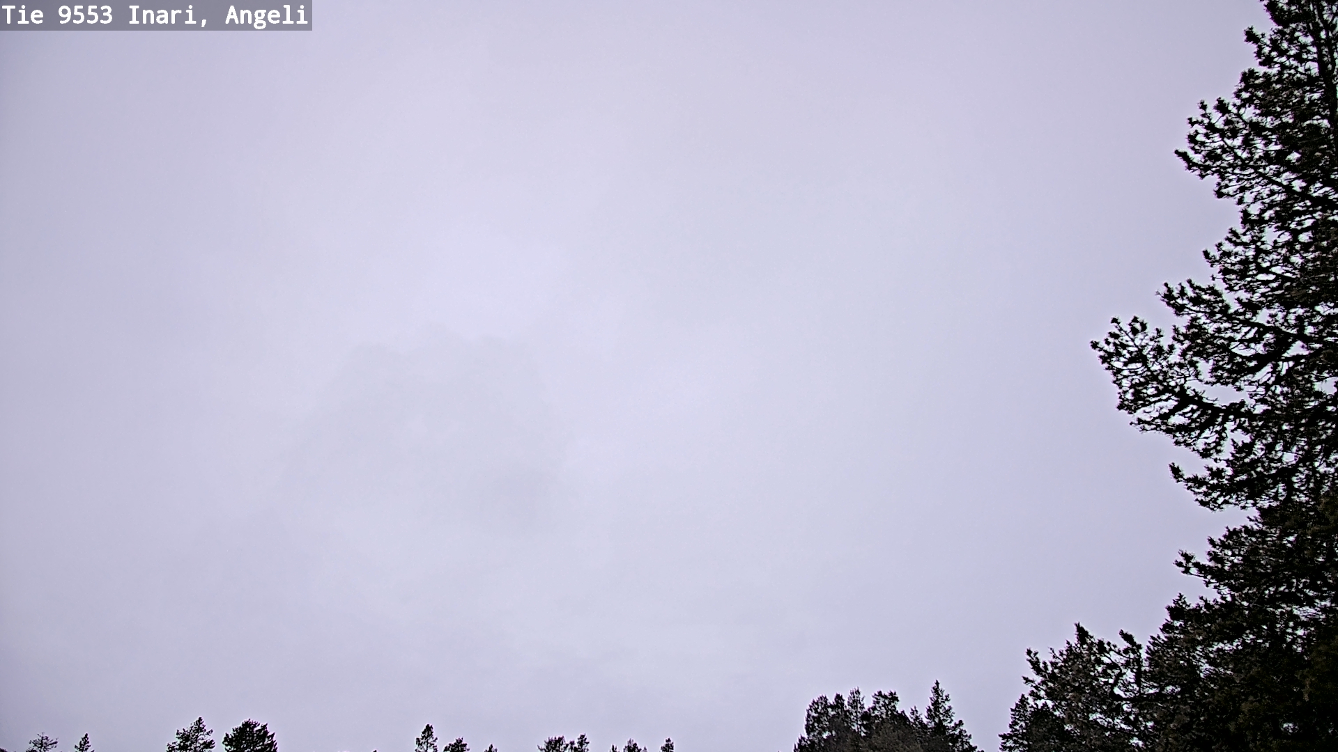 Kelikamerat Kuva Tie 9553 Inari, Angeli, Lintupuolivaara, Inari, Lappi