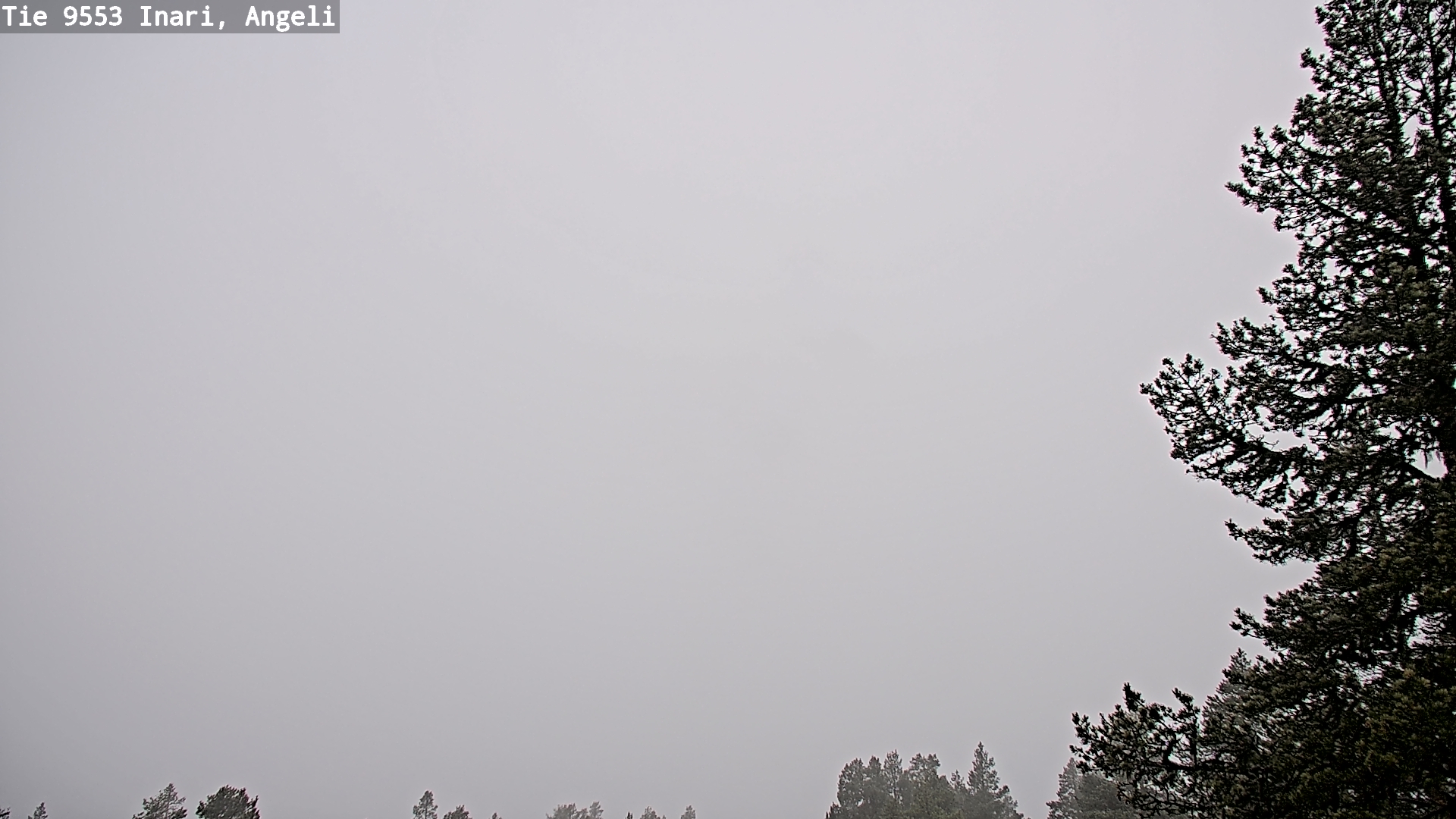 Weather Camera Image Road 9553 Inari, Angeli, Lintupuolivaara, Inari, Lappi