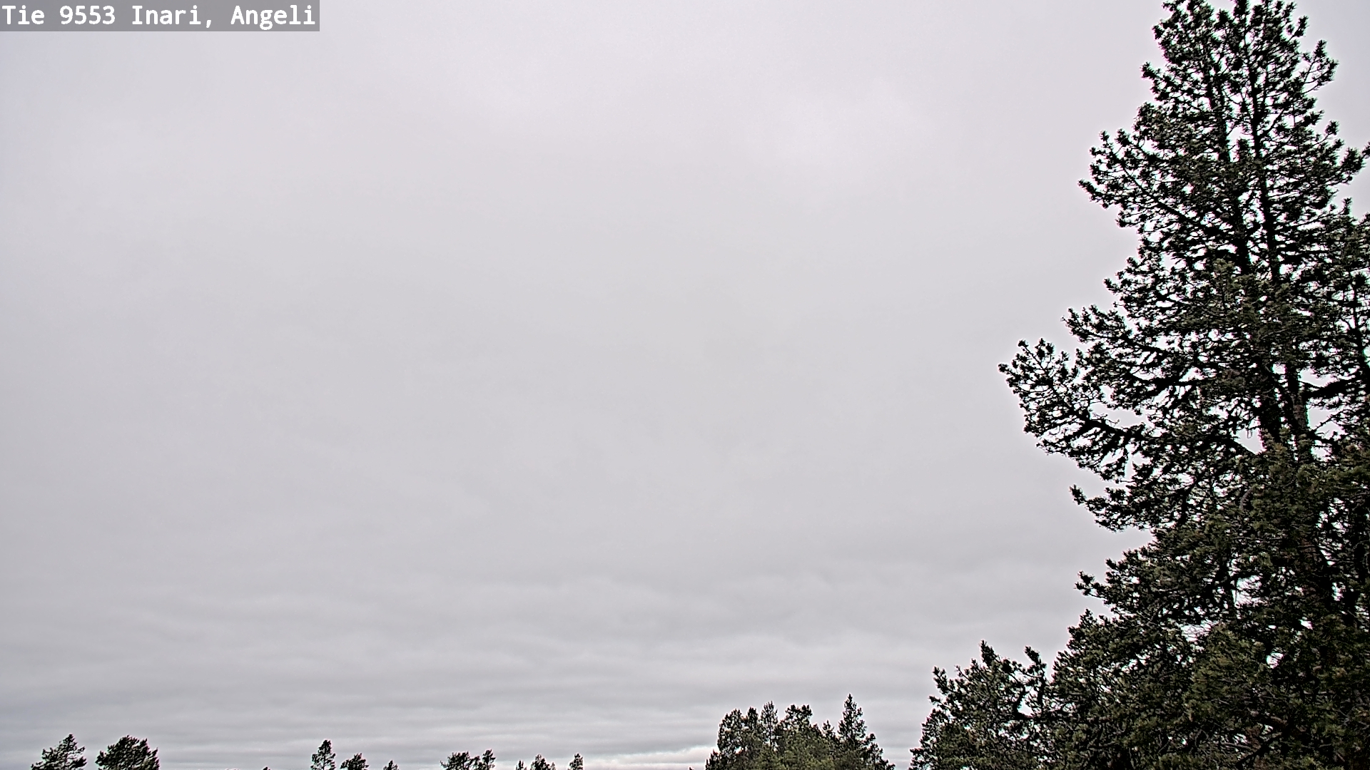 Weather Camera Image Väg 9553 Inari, Angeli, Lintupuolivaara, Inari, Lappi