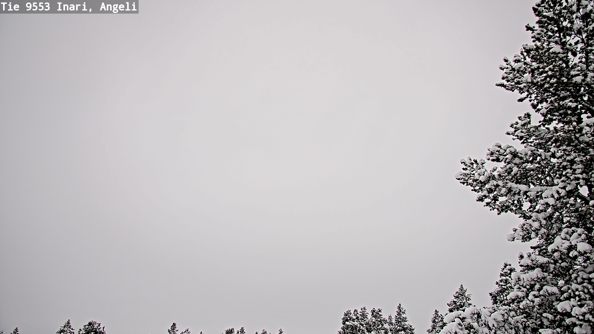 Kelikamerat Kuva Tie 9553 Inari, Angeli, Lintupuolivaara, Inari, Lappi