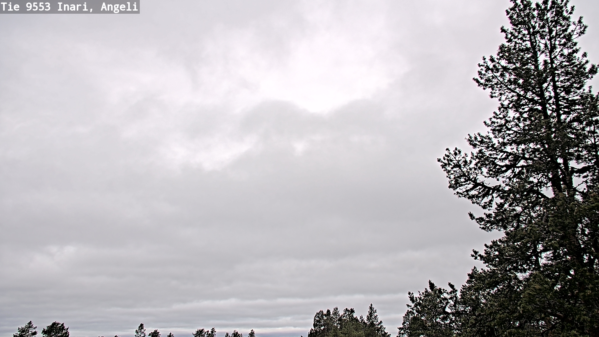 Weather Camera Image Väg 9553 Inari, Angeli, Lintupuolivaara, Inari, Lappi