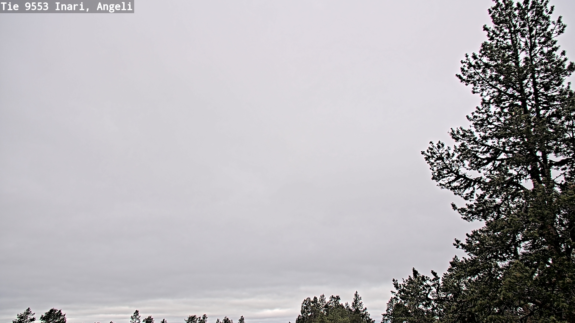 Weather Camera Image Väg 9553 Inari, Angeli, Lintupuolivaara, Inari, Lappi