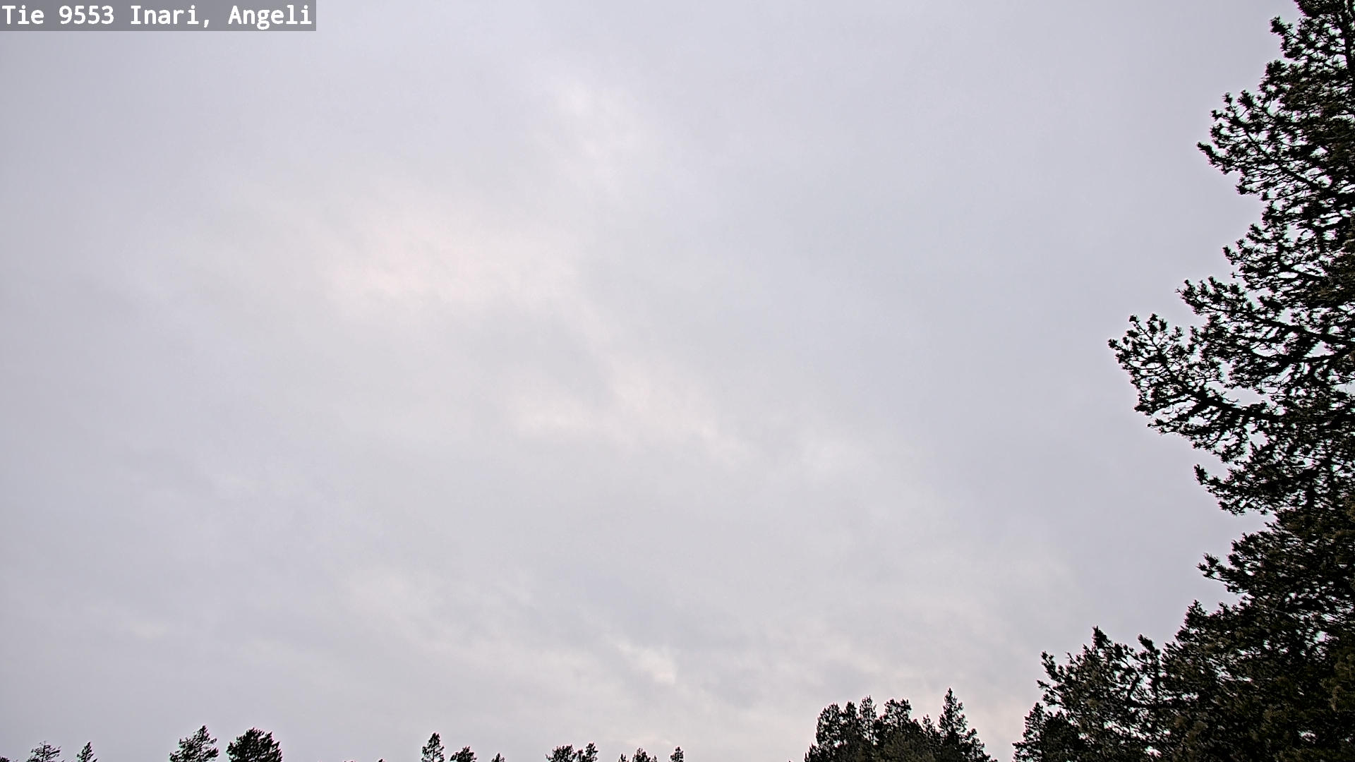 Weather Camera Image Road 9553 Inari, Angeli, Lintupuolivaara, Inari, Lappi