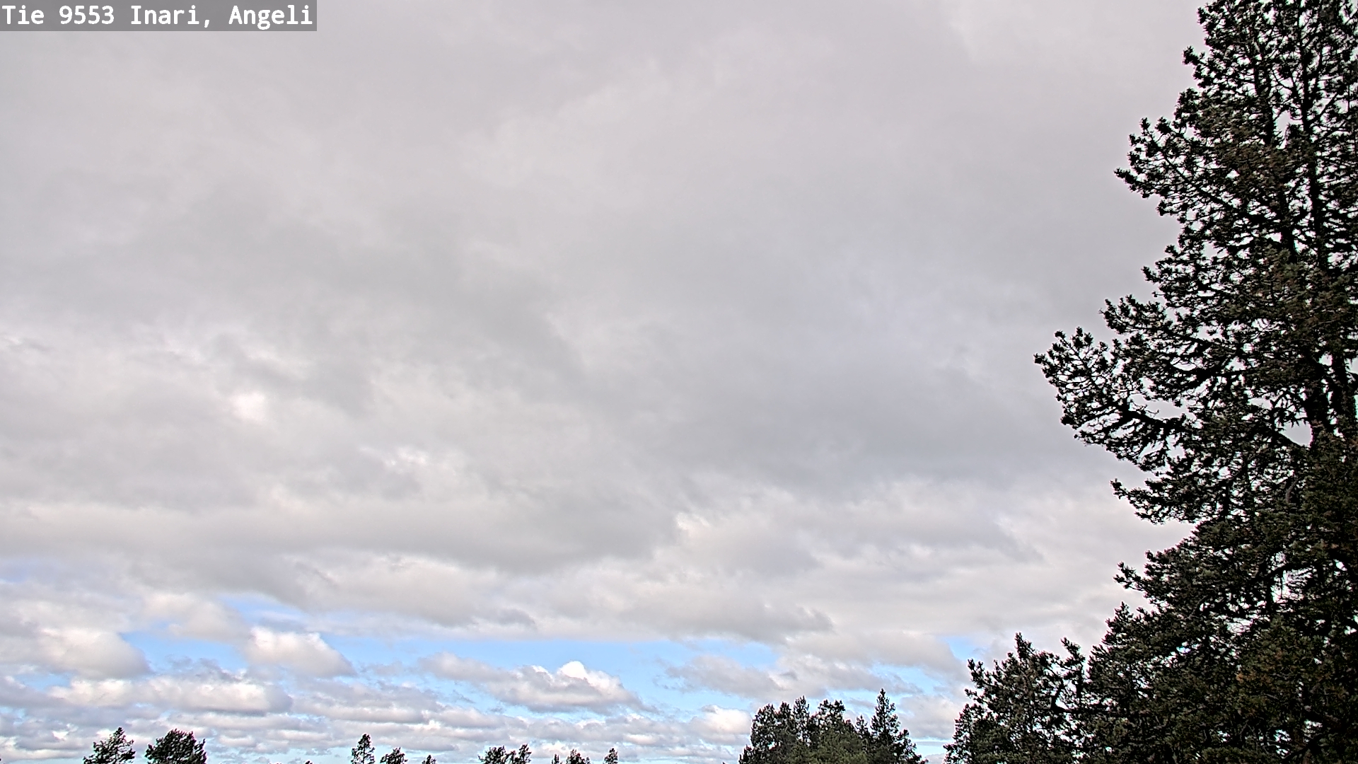 Weather Camera Image Road 9553 Inari, Angeli, Lintupuolivaara, Inari, Lappi