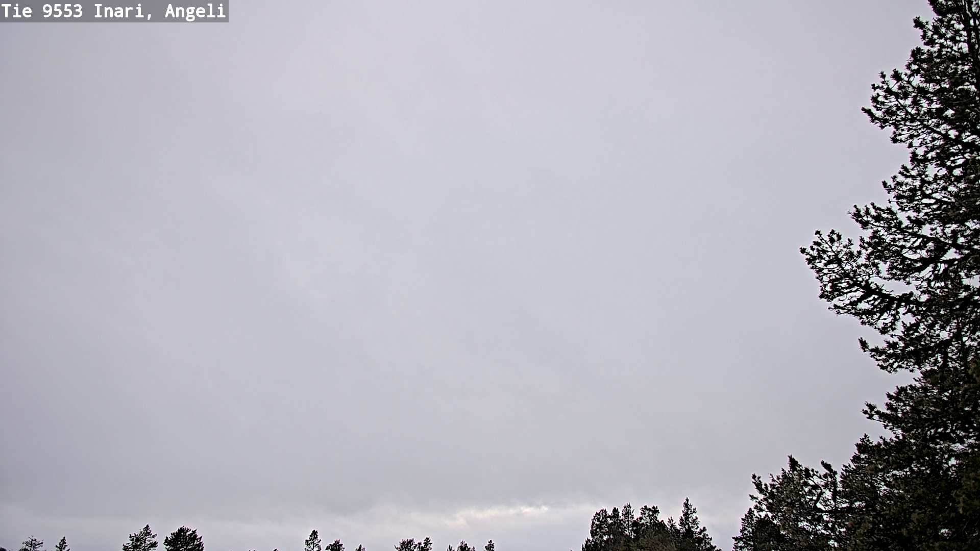 Weather Camera Image Väg 9553 Inari, Angeli, Lintupuolivaara, Inari, Lappi