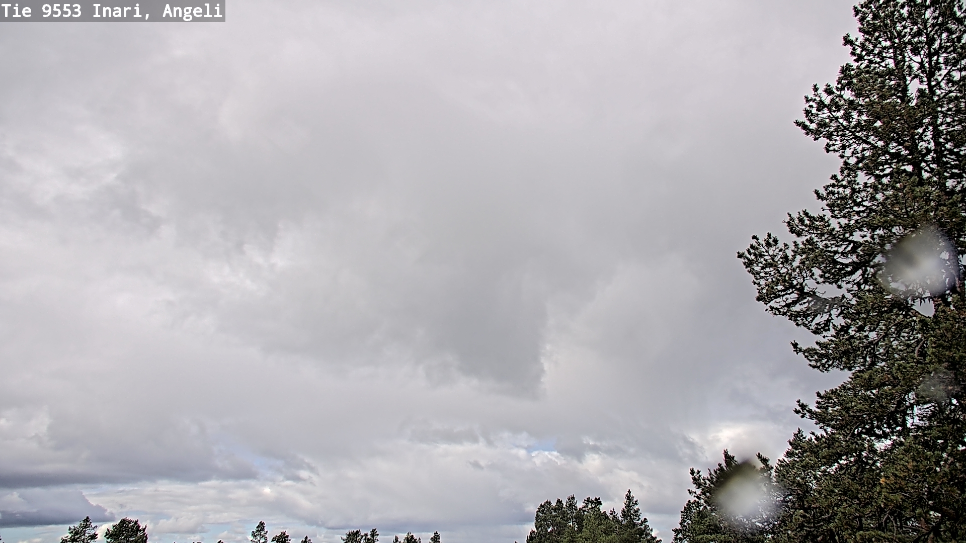 Weather Camera Image Road 9553 Inari, Angeli, Lintupuolivaara, Inari, Lappi