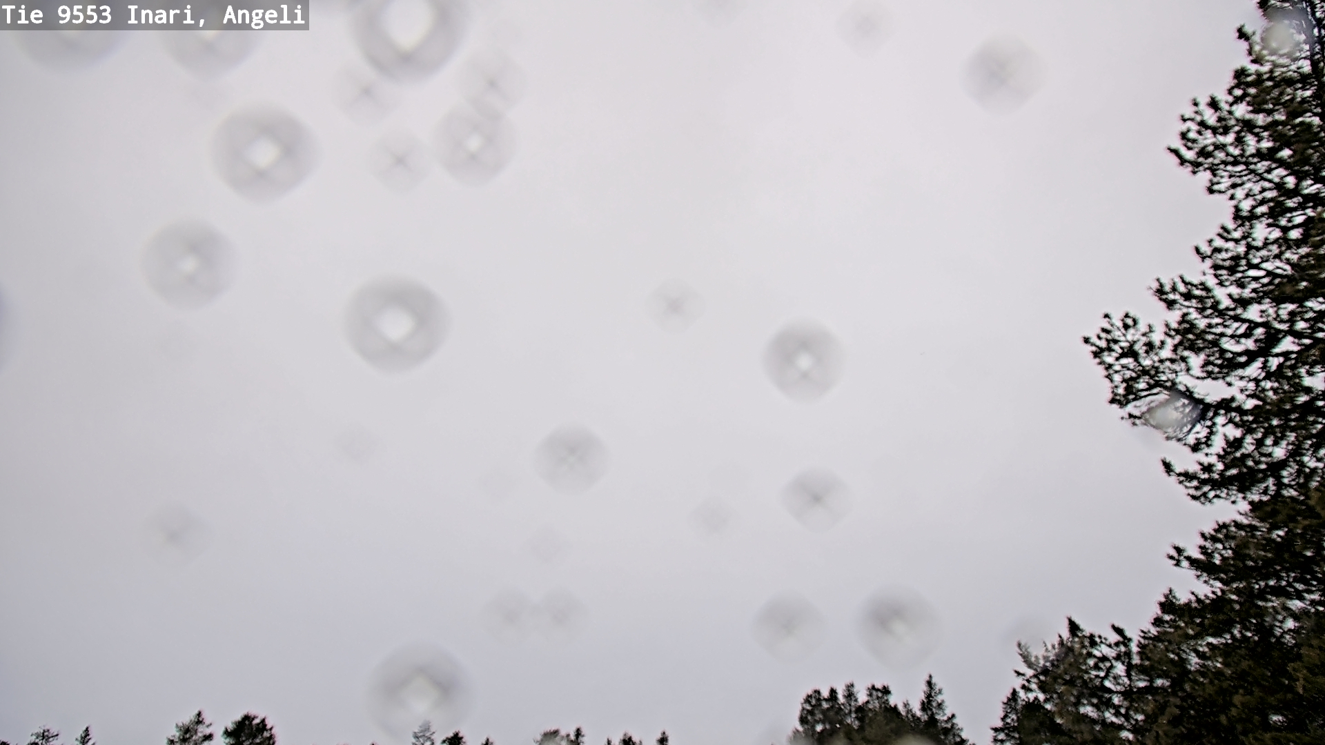 Kelikamerat Kuva Tie 9553 Inari, Angeli, Lintupuolivaara, Inari, Lappi