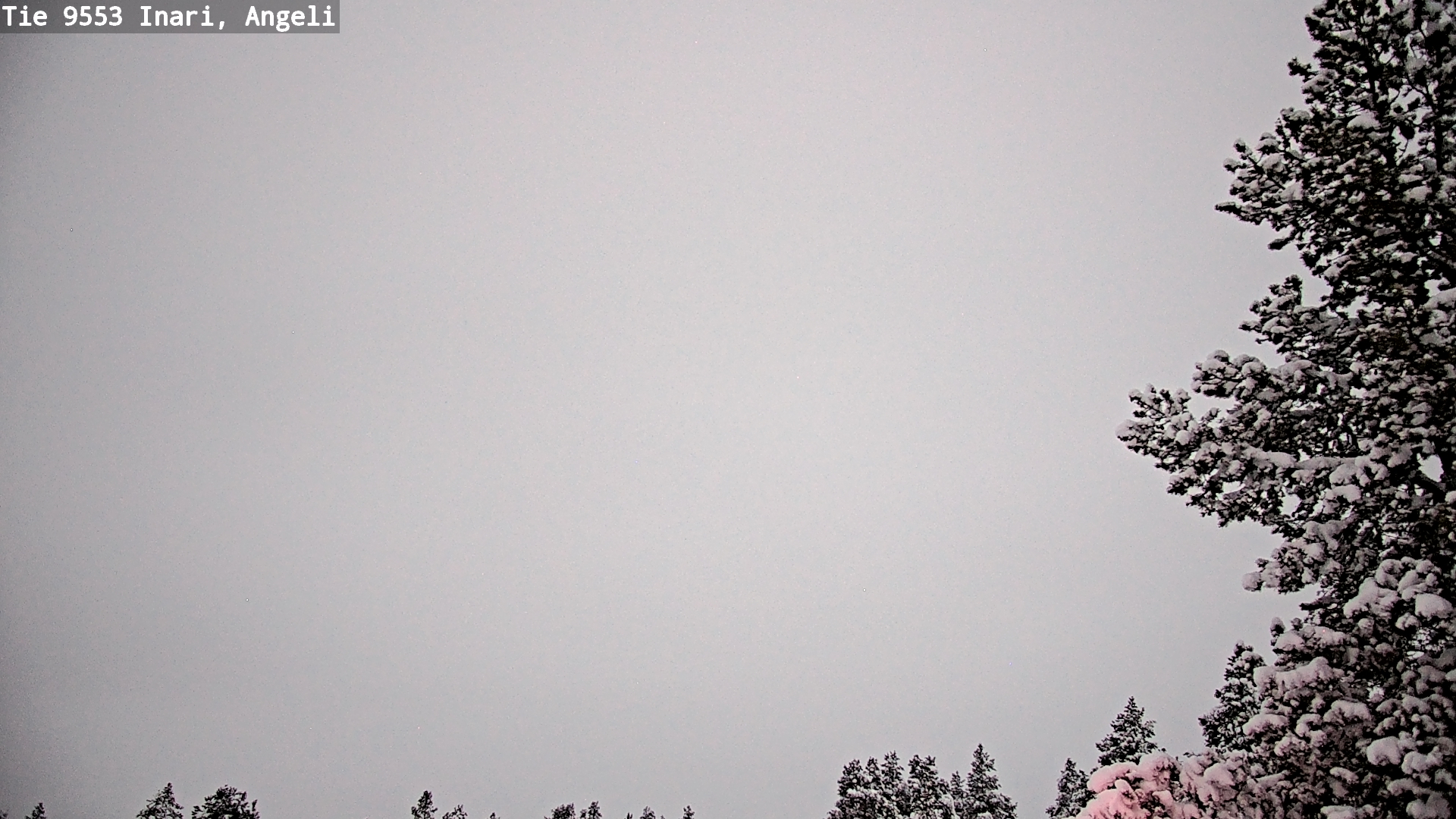 Kelikamerat Kuva Tie 9553 Inari, Angeli, Lintupuolivaara, Inari, Lappi