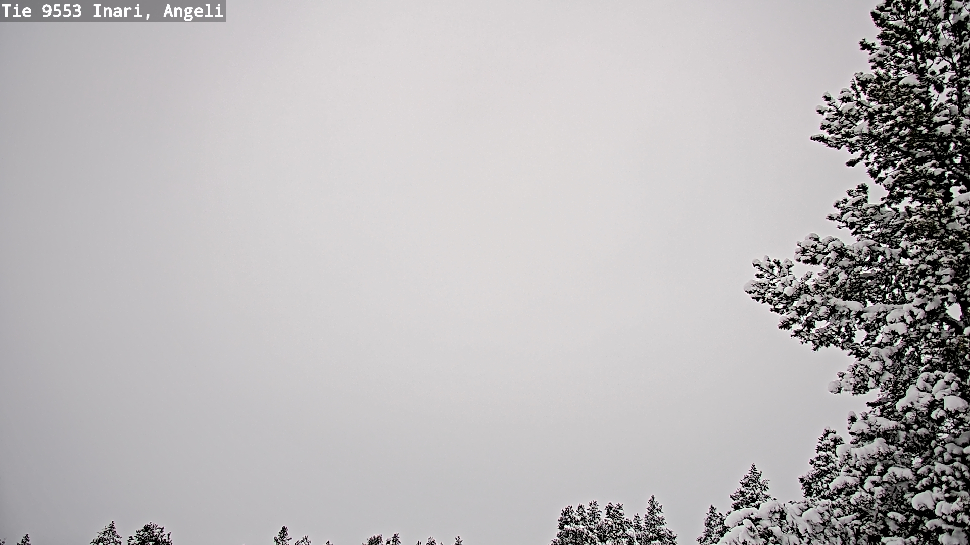 Kelikamerat Kuva Tie 9553 Inari, Angeli, Lintupuolivaara, Inari, Lappi