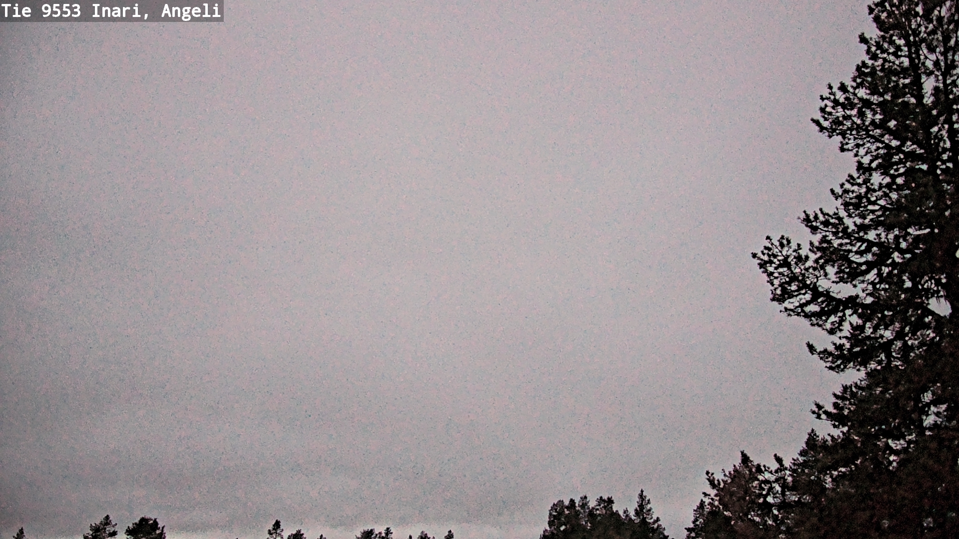 Kelikamerat Kuva Tie 9553 Inari, Angeli, Lintupuolivaara, Inari, Lappi