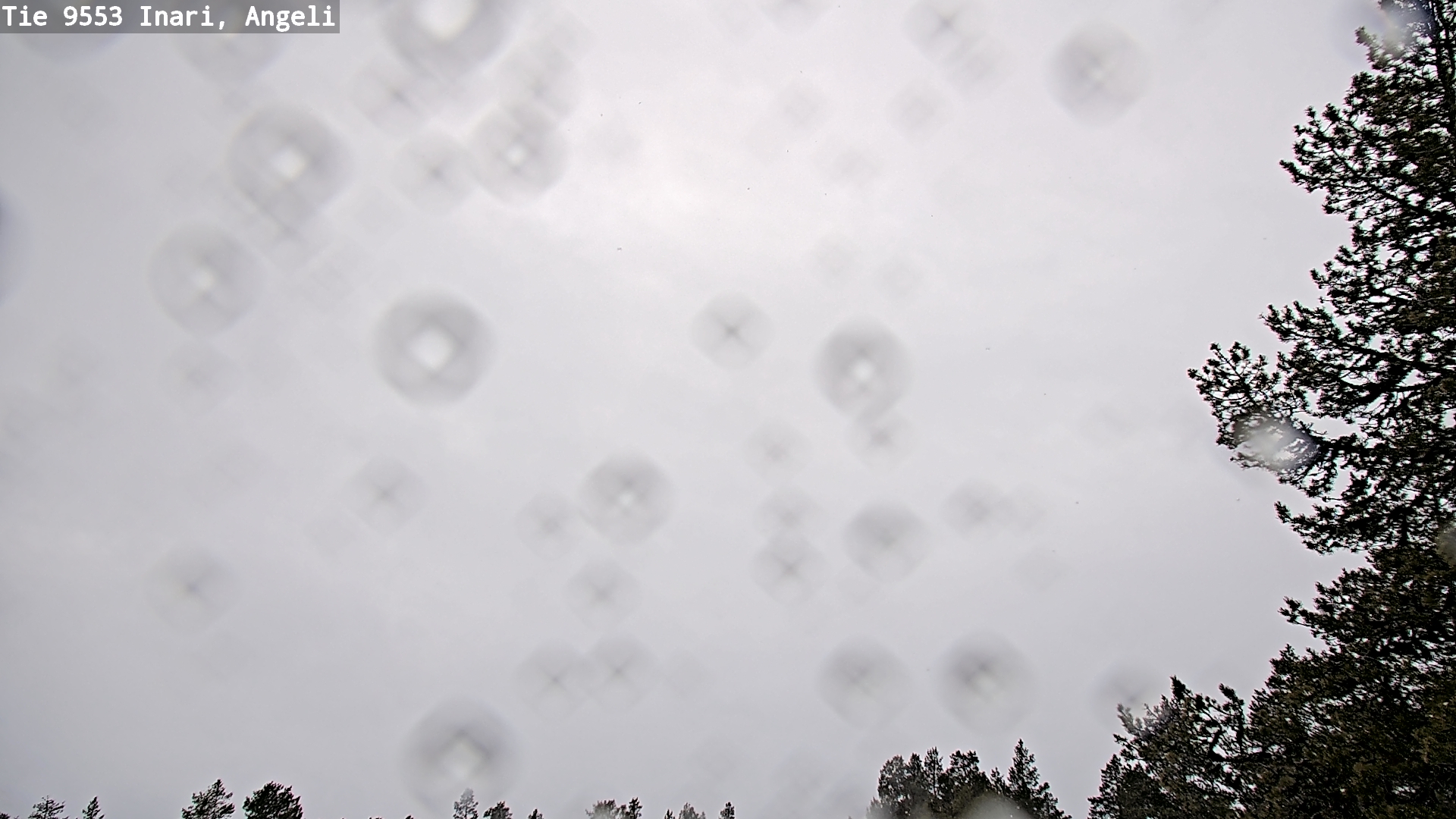 Kelikamerat Kuva Tie 9553 Inari, Angeli, Lintupuolivaara, Inari, Lappi