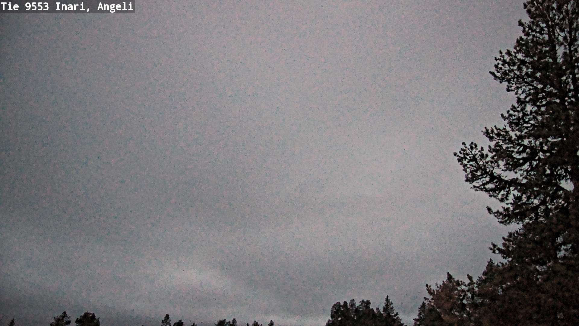 Kelikamerat Kuva Tie 9553 Inari, Angeli, Lintupuolivaara, Inari, Lappi