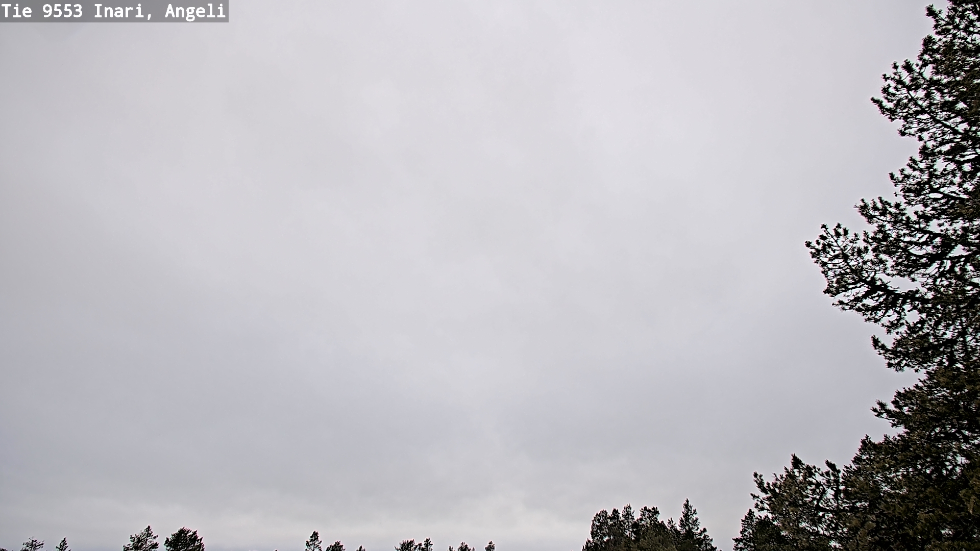 Weather Camera Image Road 9553 Inari, Angeli, Lintupuolivaara, Inari, Lappi