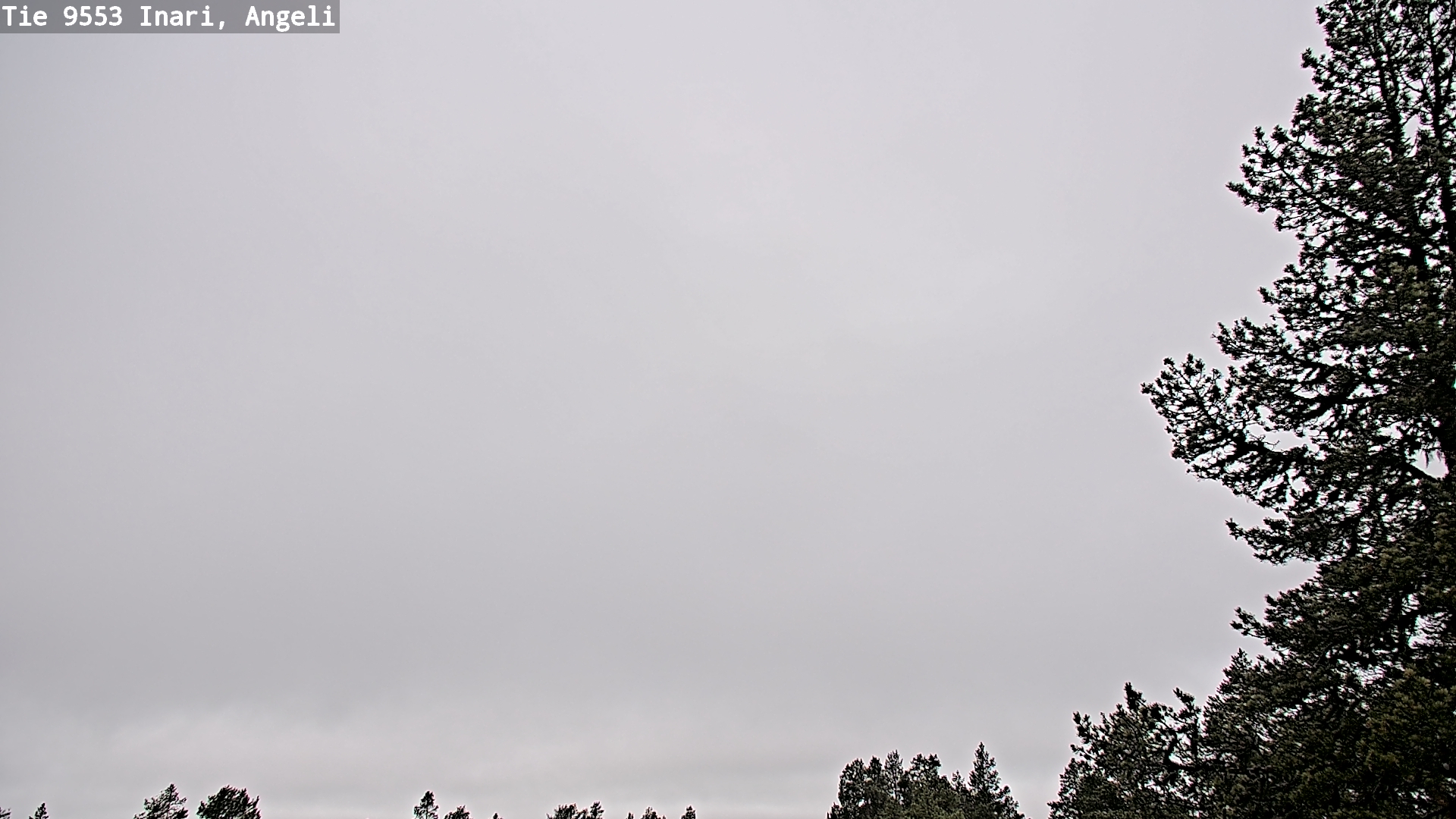 Weather Camera Image Road 9553 Inari, Angeli, Lintupuolivaara, Inari, Lappi