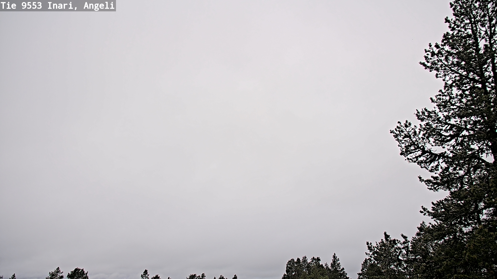 Kelikamerat Kuva Tie 9553 Inari, Angeli, Lintupuolivaara, Inari, Lappi