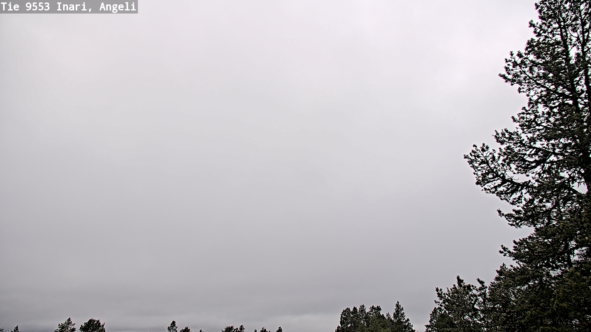 Kelikamerat Kuva Tie 9553 Inari, Angeli, Lintupuolivaara, Inari, Lappi