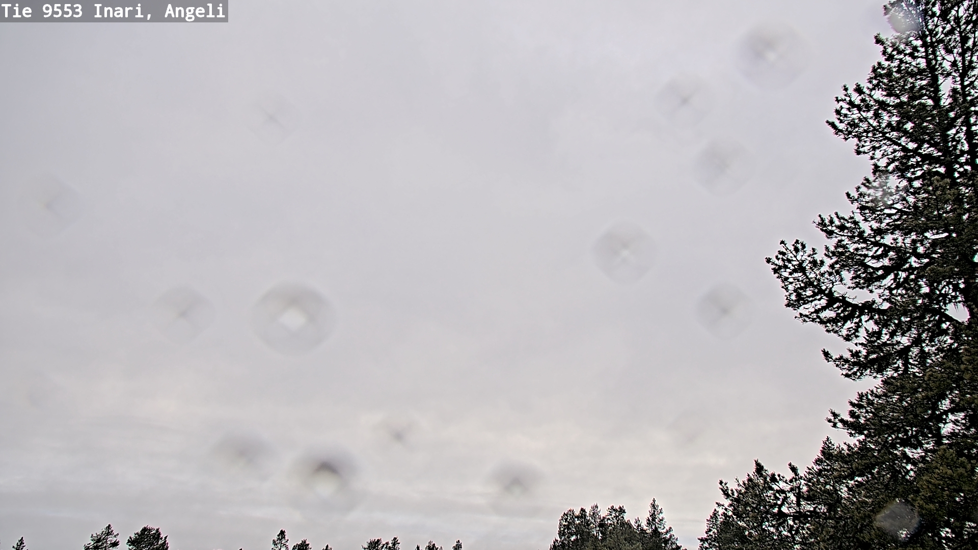 Kelikamerat Kuva Tie 9553 Inari, Angeli, Lintupuolivaara, Inari, Lappi