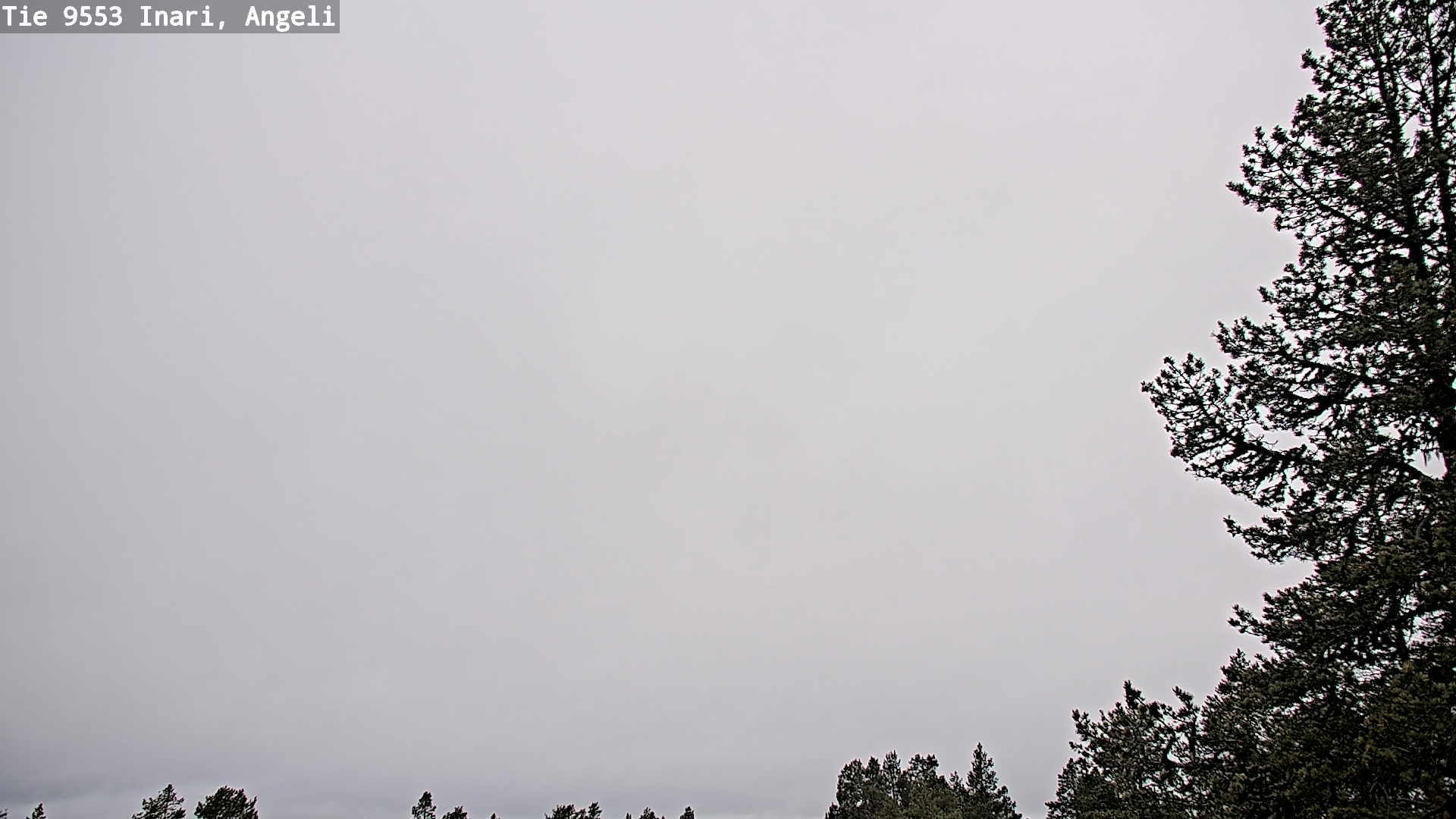 Kelikamerat Kuva Tie 9553 Inari, Angeli, Lintupuolivaara, Inari, Lappi