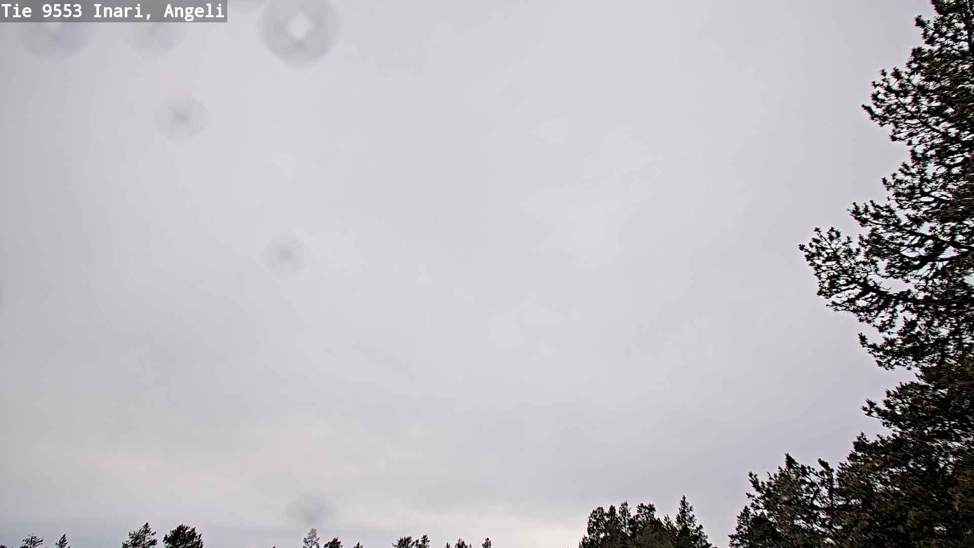 Weather Camera Image Road 9553 Inari, Angeli, Lintupuolivaara, Inari, Lappi