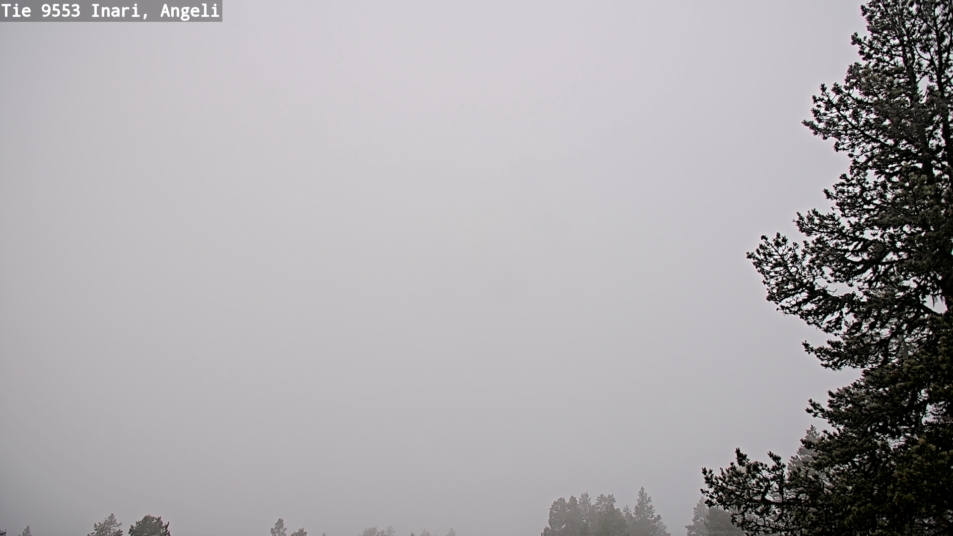Weather Camera Image Road 9553 Inari, Angeli, Lintupuolivaara, Inari, Lappi