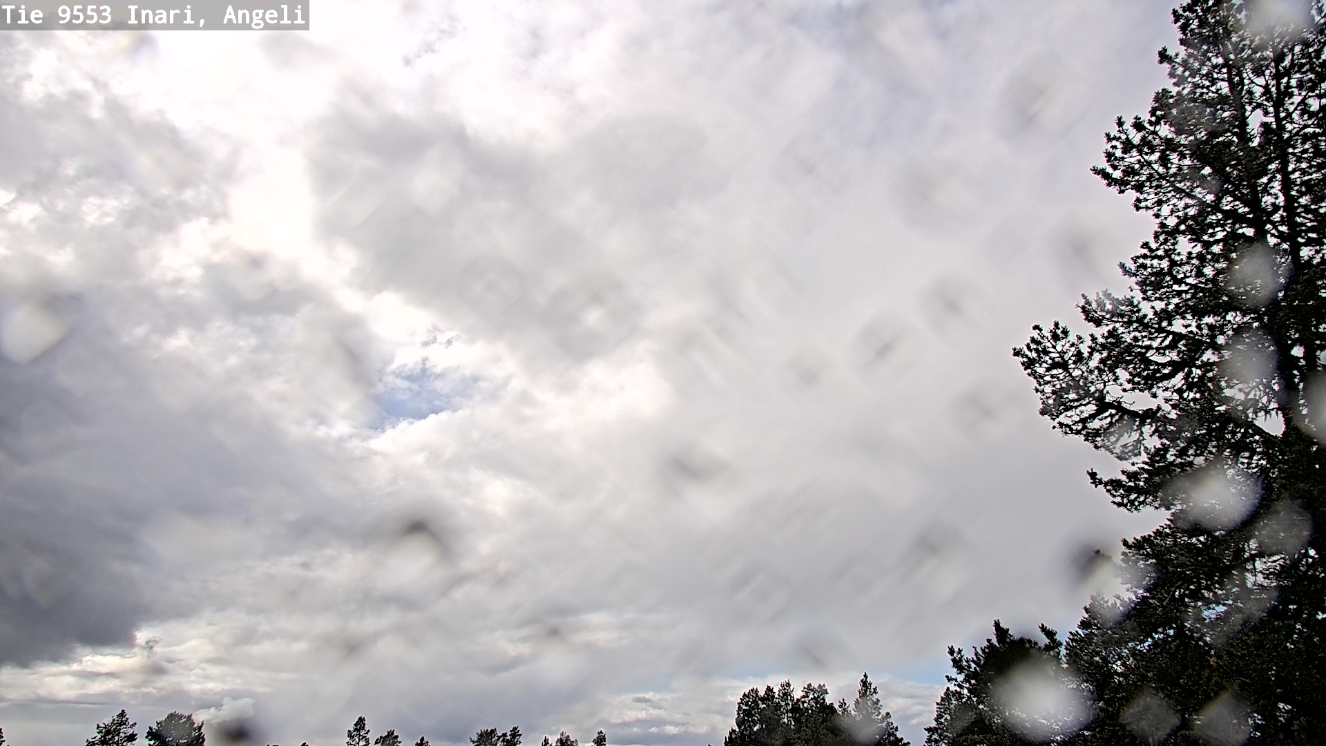 Weather Camera Image Road 9553 Inari, Angeli, Lintupuolivaara, Inari, Lappi