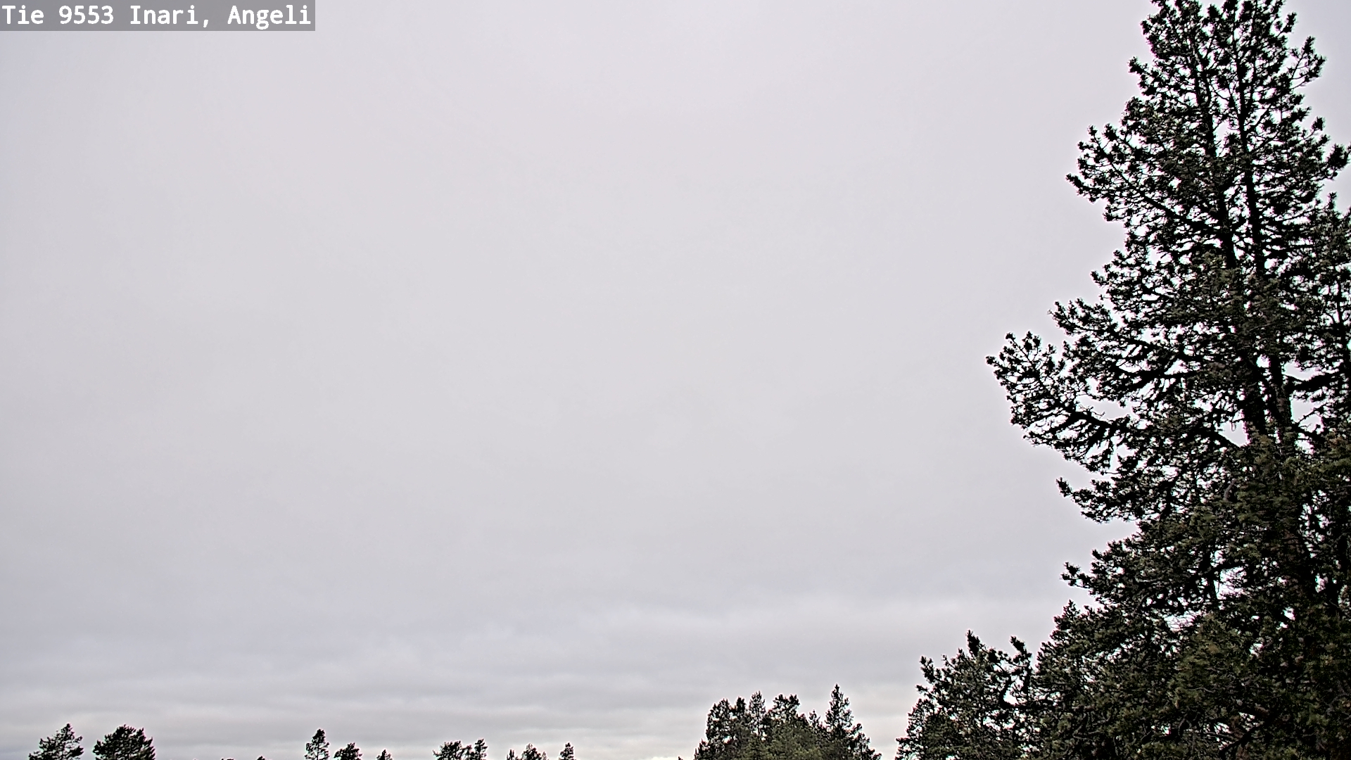Kelikamerat Kuva Tie 9553 Inari, Angeli, Lintupuolivaara, Inari, Lappi