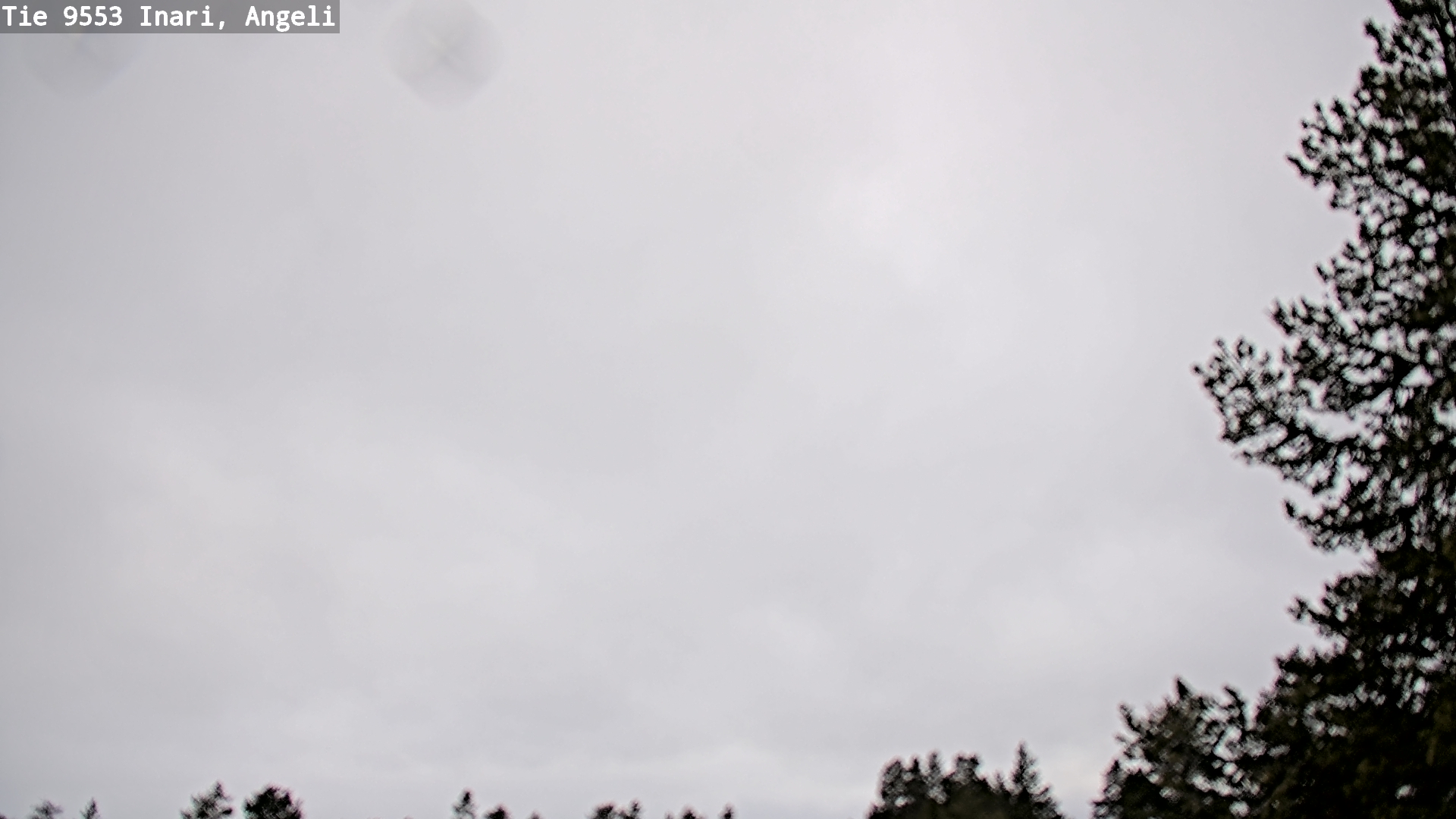 Weather Camera Image Road 9553 Inari, Angeli, Lintupuolivaara, Inari, Lappi