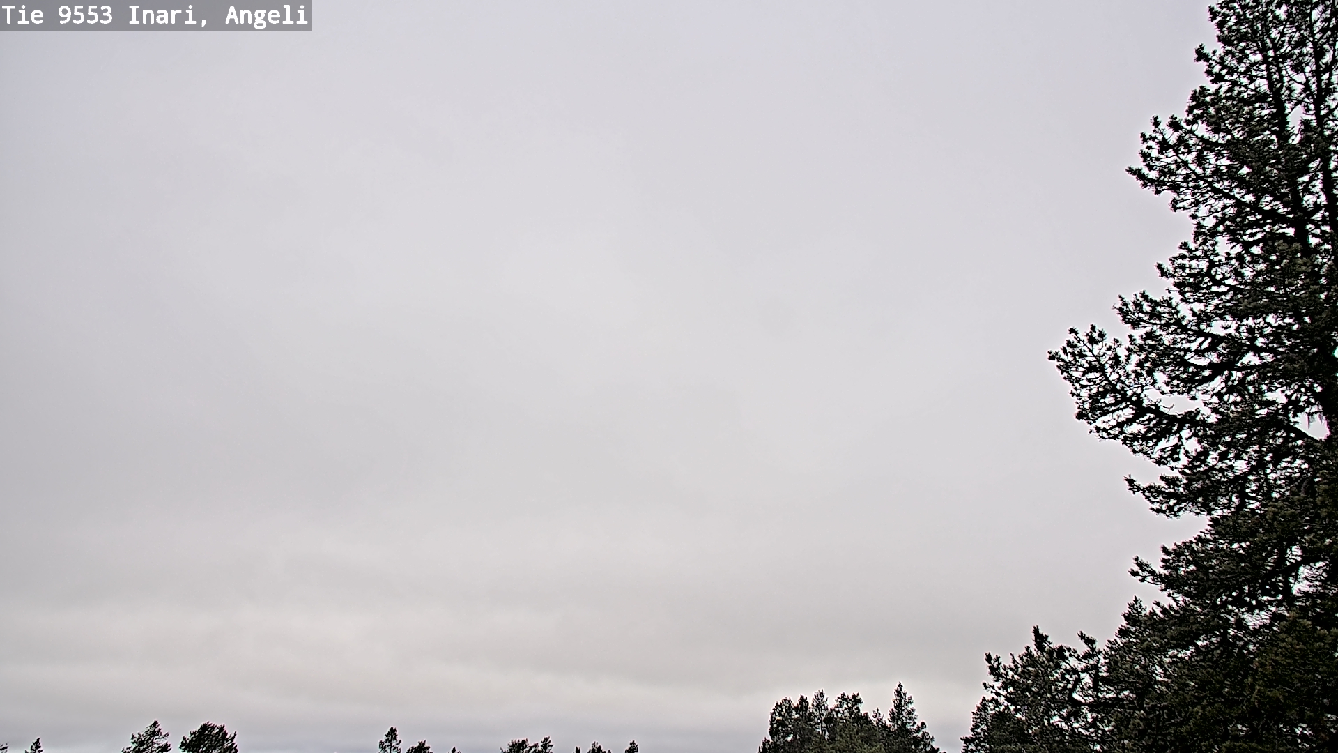 Weather Camera Image Road 9553 Inari, Angeli, Lintupuolivaara, Inari, Lappi