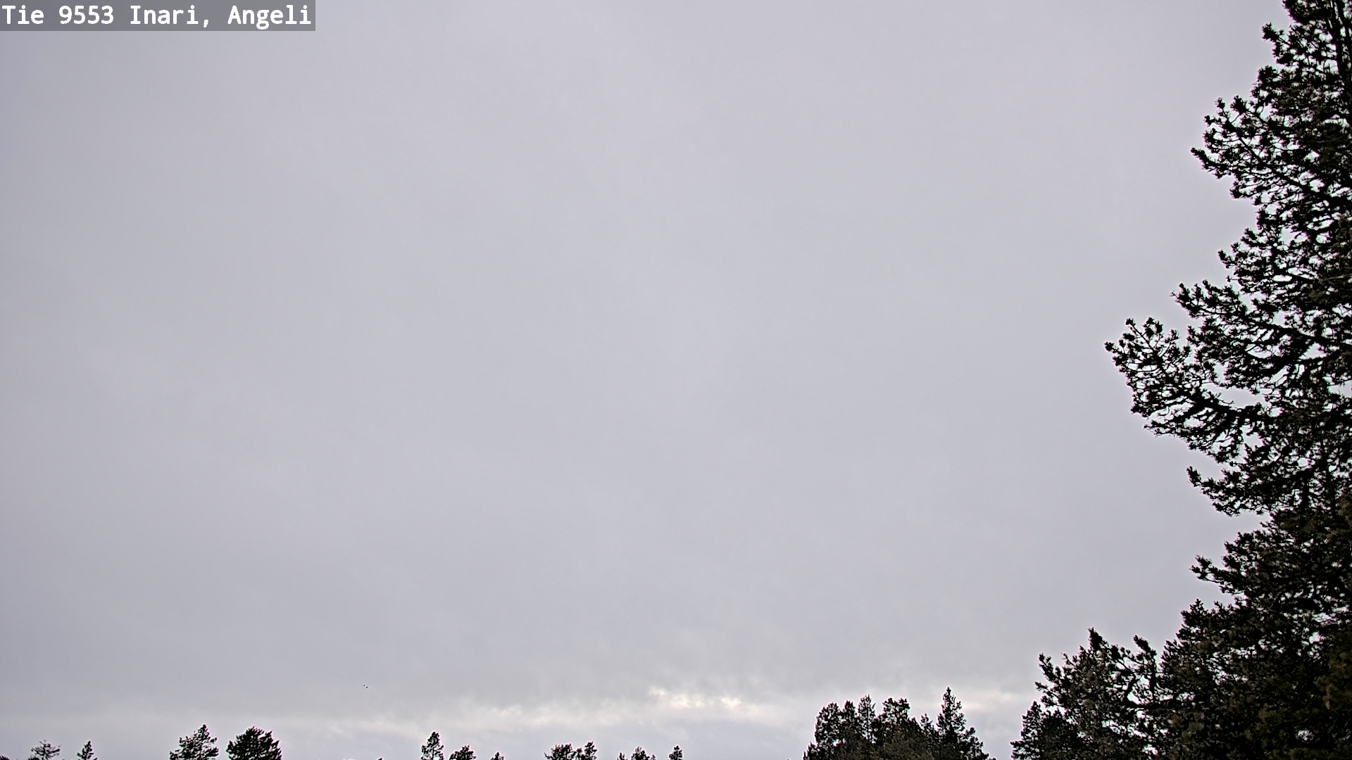 Weather Camera Image Väg 9553 Inari, Angeli, Lintupuolivaara, Inari, Lappi