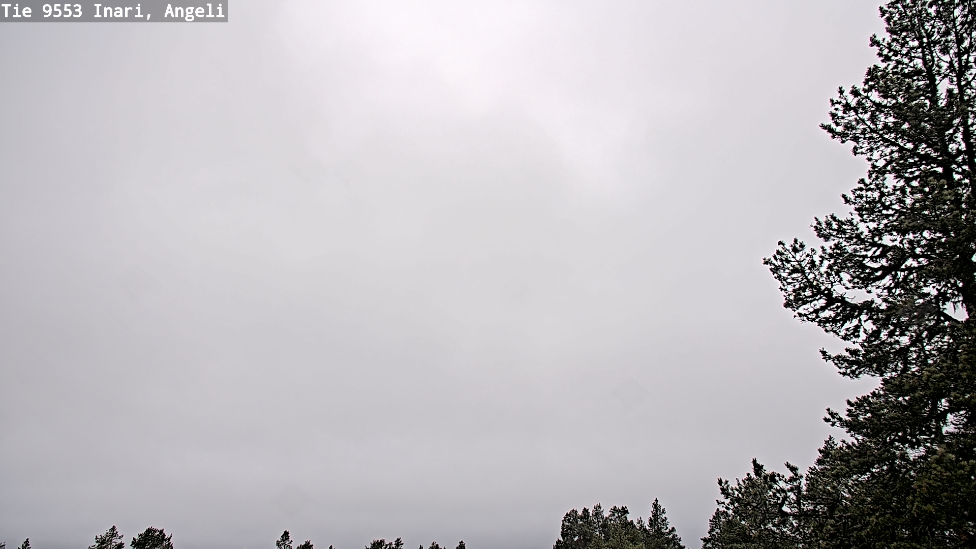 Weather Camera Image Road 9553 Inari, Angeli, Lintupuolivaara, Inari, Lappi