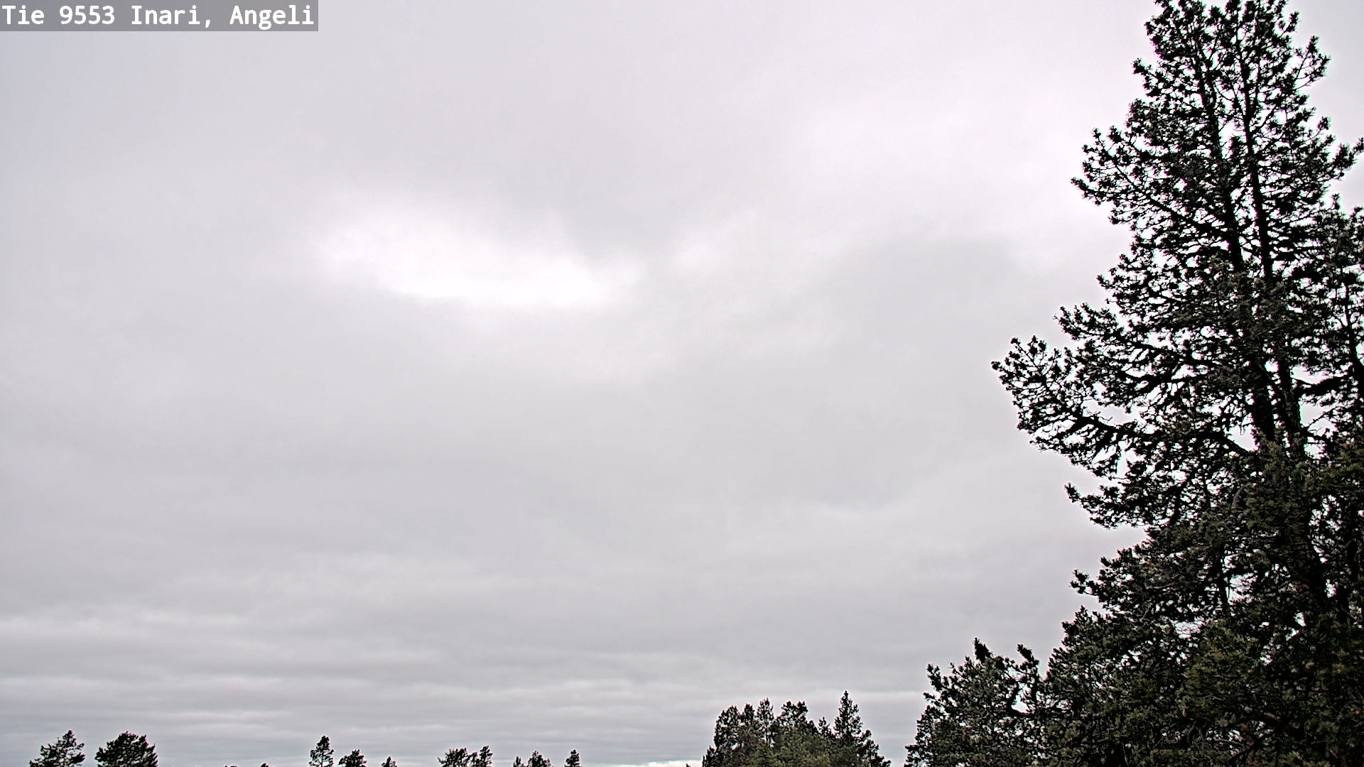 Weather Camera Image Väg 9553 Inari, Angeli, Lintupuolivaara, Inari, Lappi