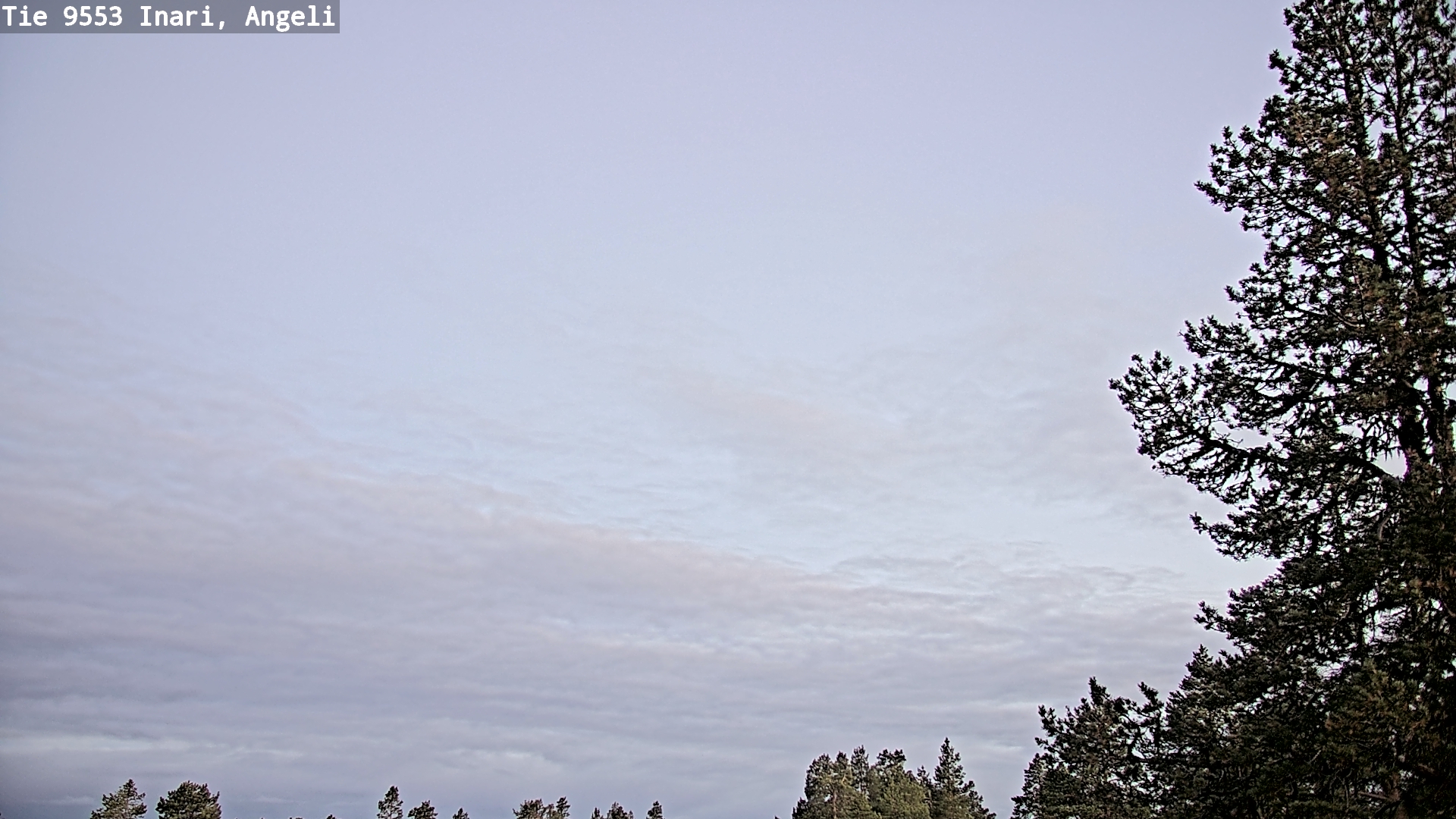 Kelikamerat Kuva Tie 9553 Inari, Angeli, Lintupuolivaara, Inari, Lappi
