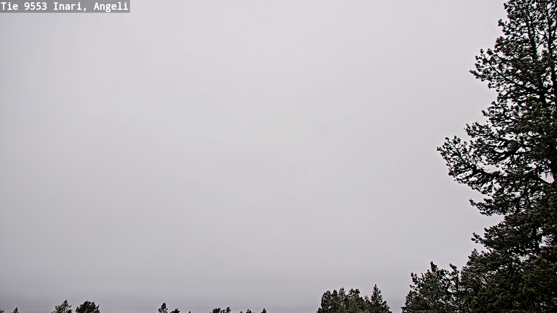 Weather Camera Image Road 9553 Inari, Angeli, Lintupuolivaara, Inari, Lappi