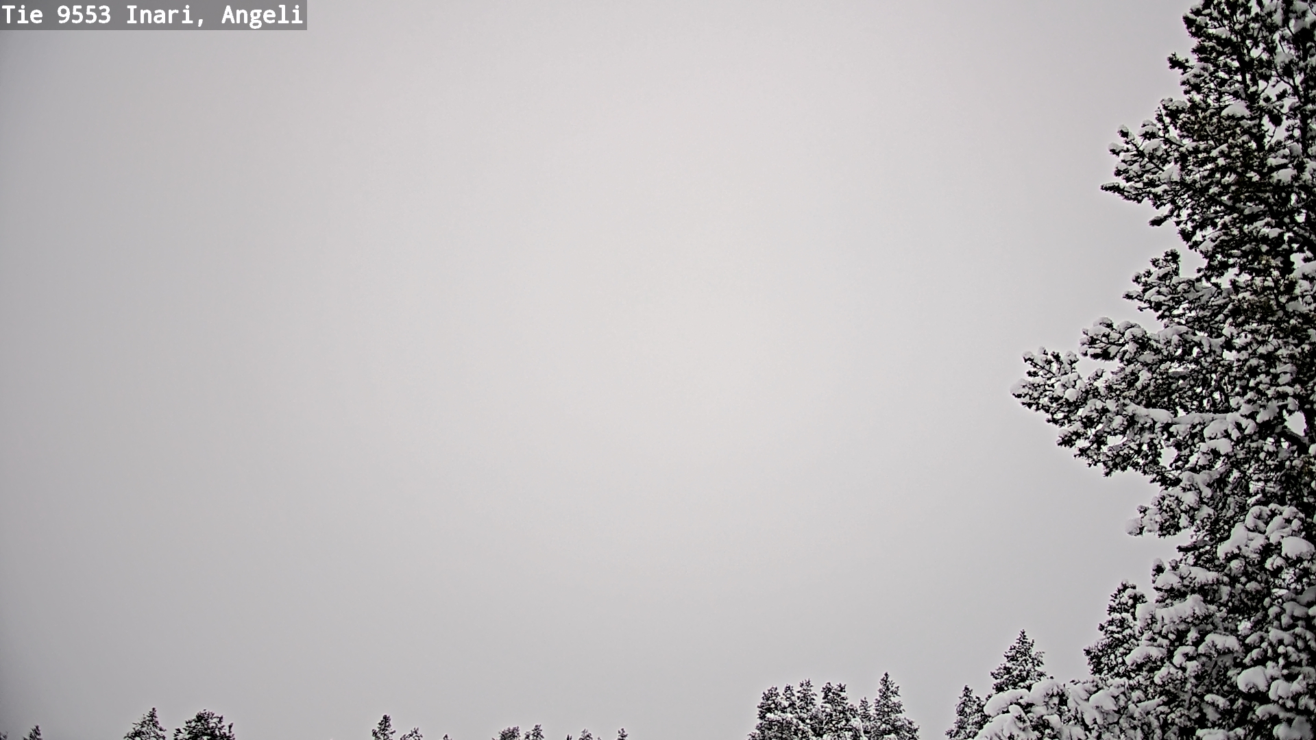 Weather Camera Image Väg 9553 Inari, Angeli, Lintupuolivaara, Inari, Lappi