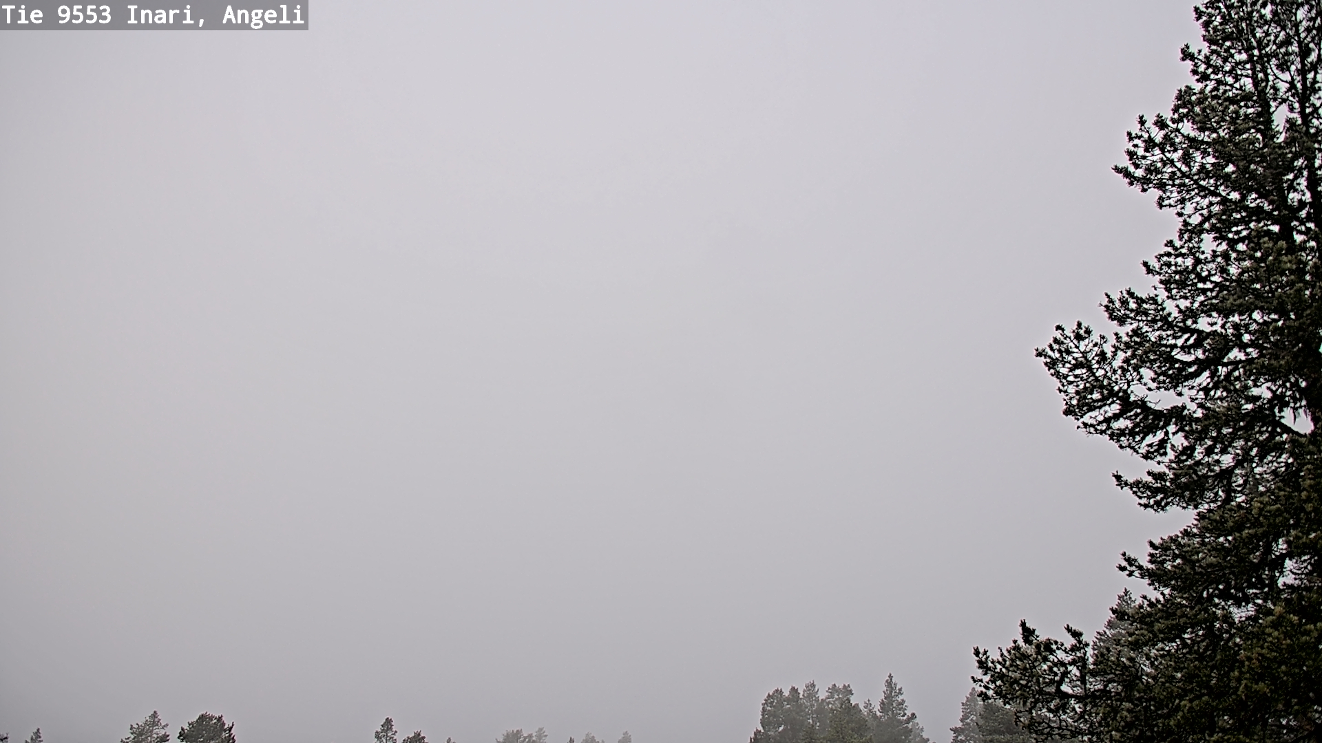 Weather Camera Image Road 9553 Inari, Angeli, Lintupuolivaara, Inari, Lappi