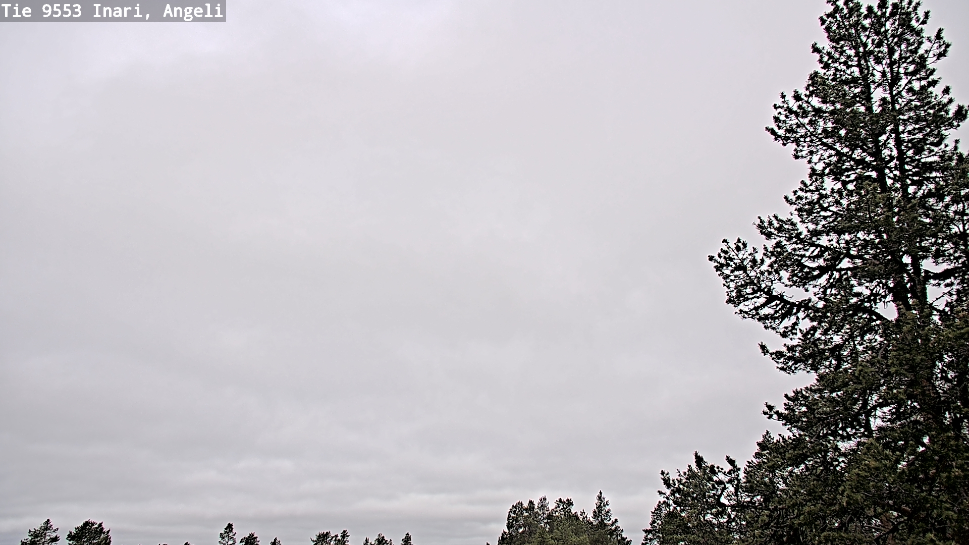 Weather Camera Image Road 9553 Inari, Angeli, Lintupuolivaara, Inari, Lappi