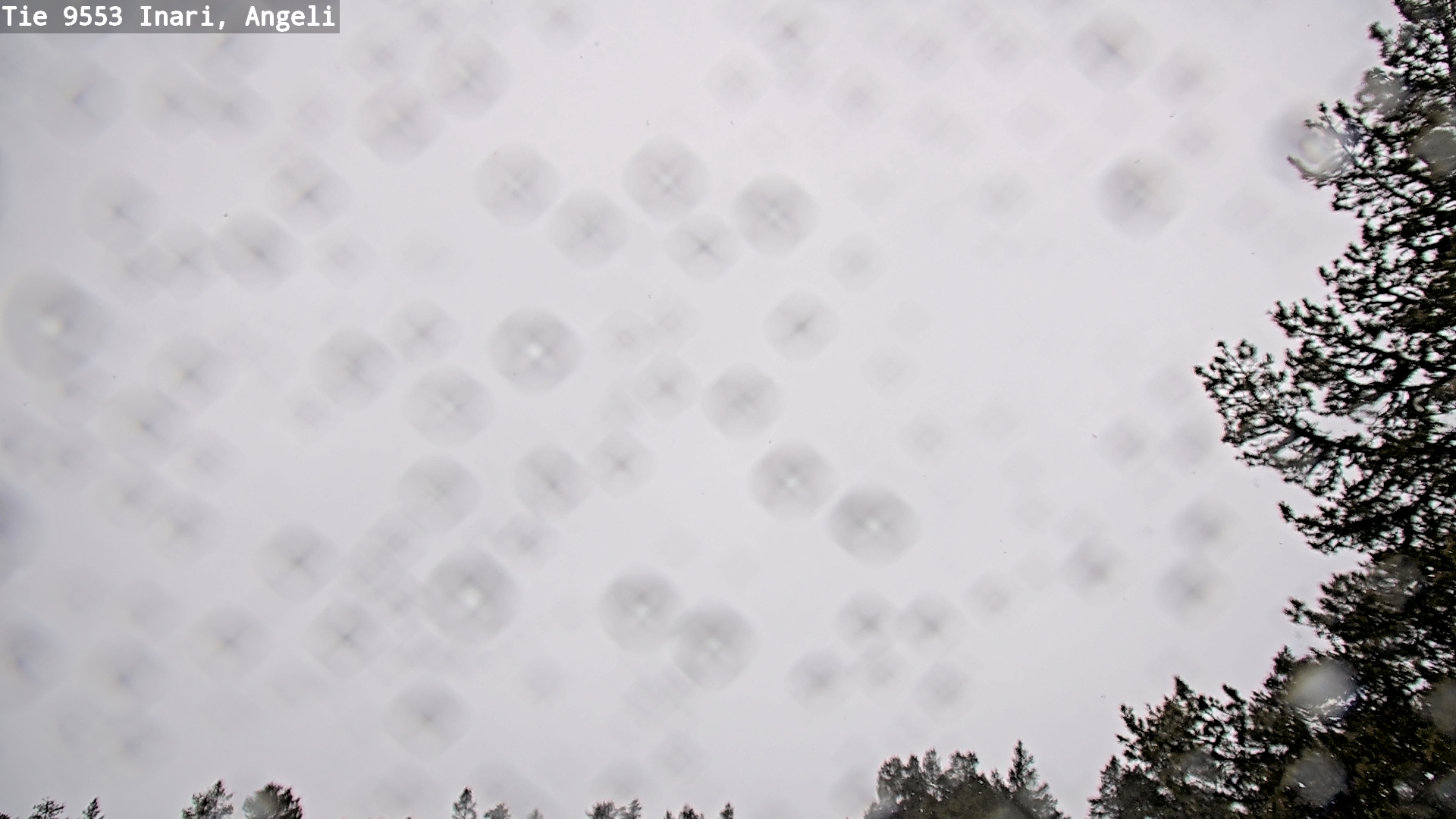 Kelikamerat Kuva Tie 9553 Inari, Angeli, Lintupuolivaara, Inari, Lappi