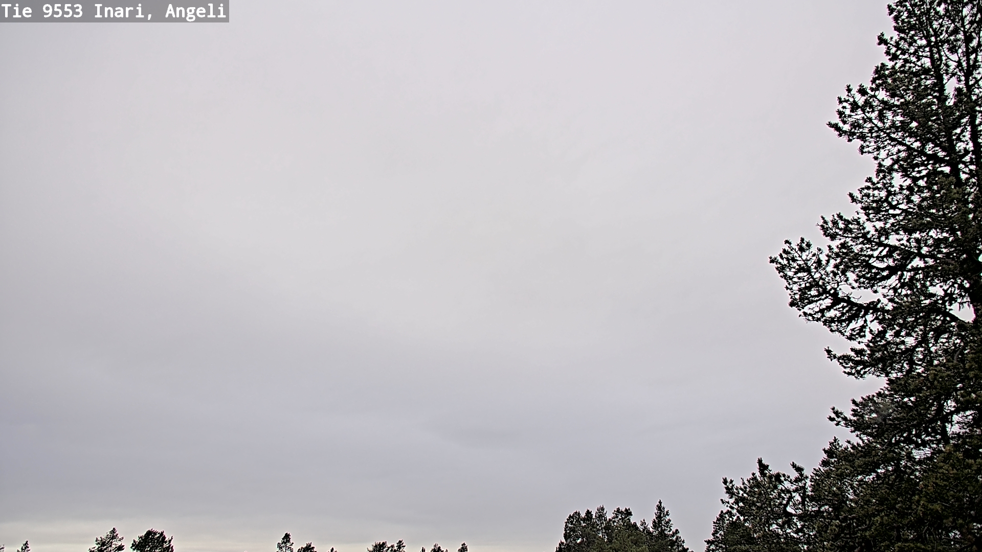 Kelikamerat Kuva Tie 9553 Inari, Angeli, Lintupuolivaara, Inari, Lappi