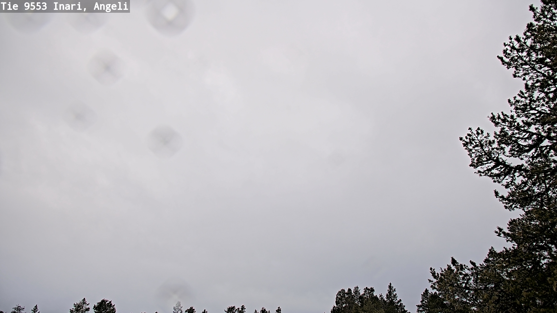 Weather Camera Image Road 9553 Inari, Angeli, Lintupuolivaara, Inari, Lappi