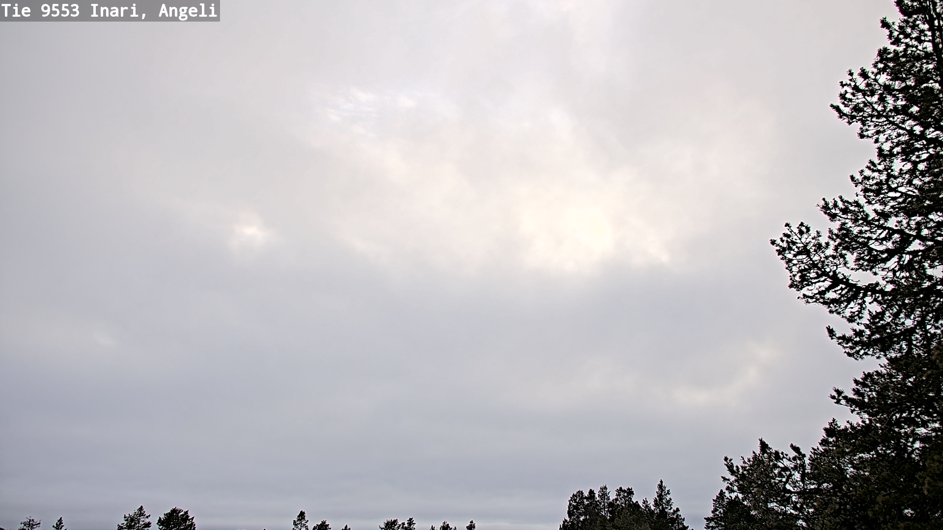 Kelikamerat Kuva Tie 9553 Inari, Angeli, Lintupuolivaara, Inari, Lappi