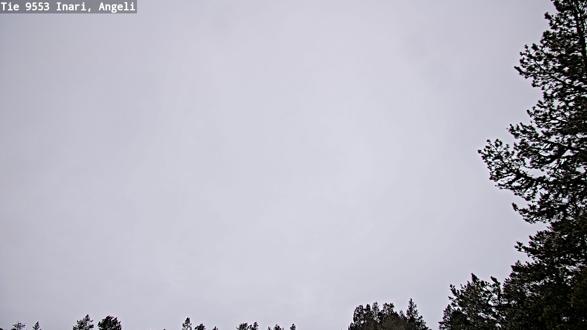 Kelikamerat Kuva Tie 9553 Inari, Angeli, Lintupuolivaara, Inari, Lappi